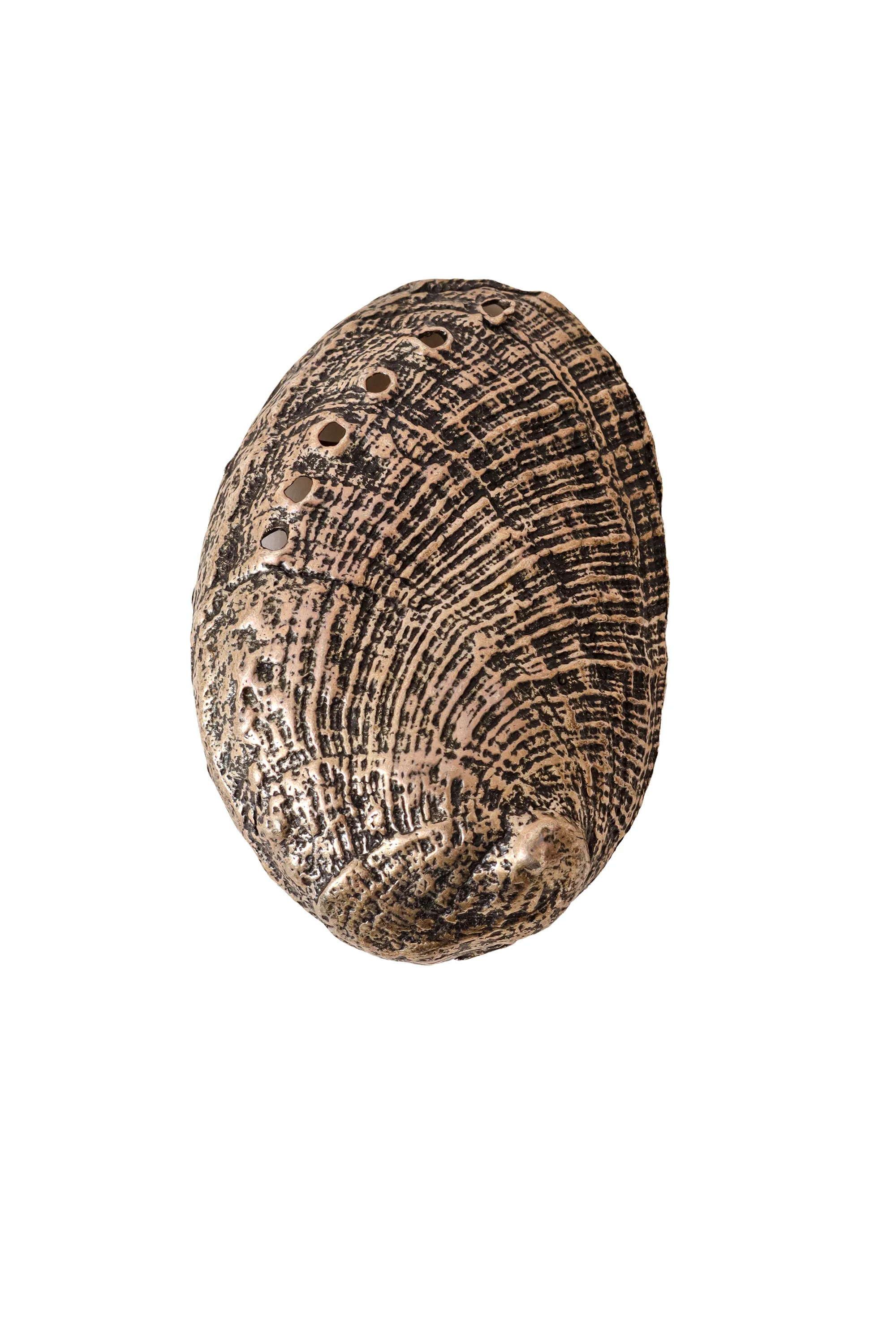 Sterling Seashell Metal Belt Buckle