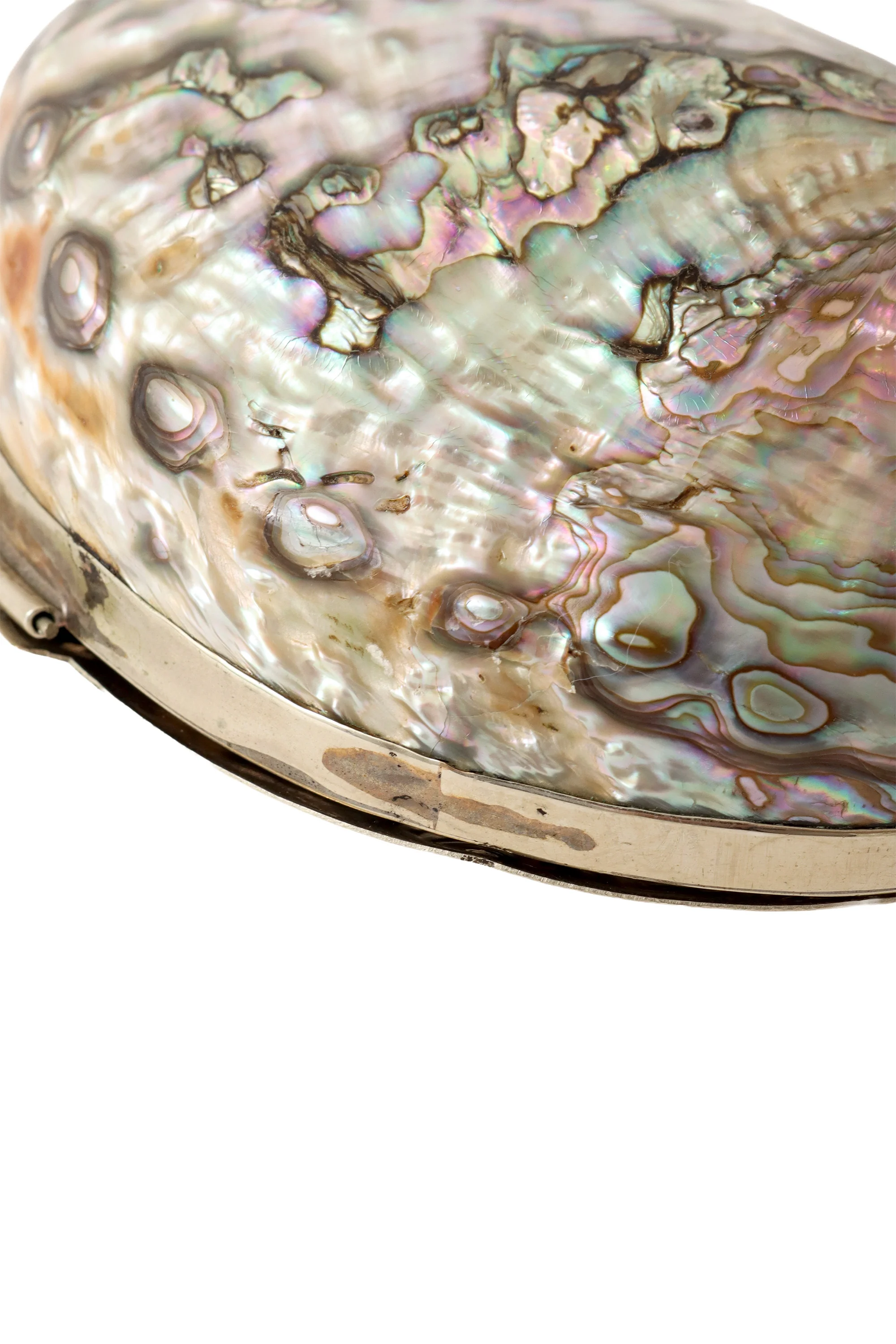 Abalone Shell Minaudière Bag - Image 7