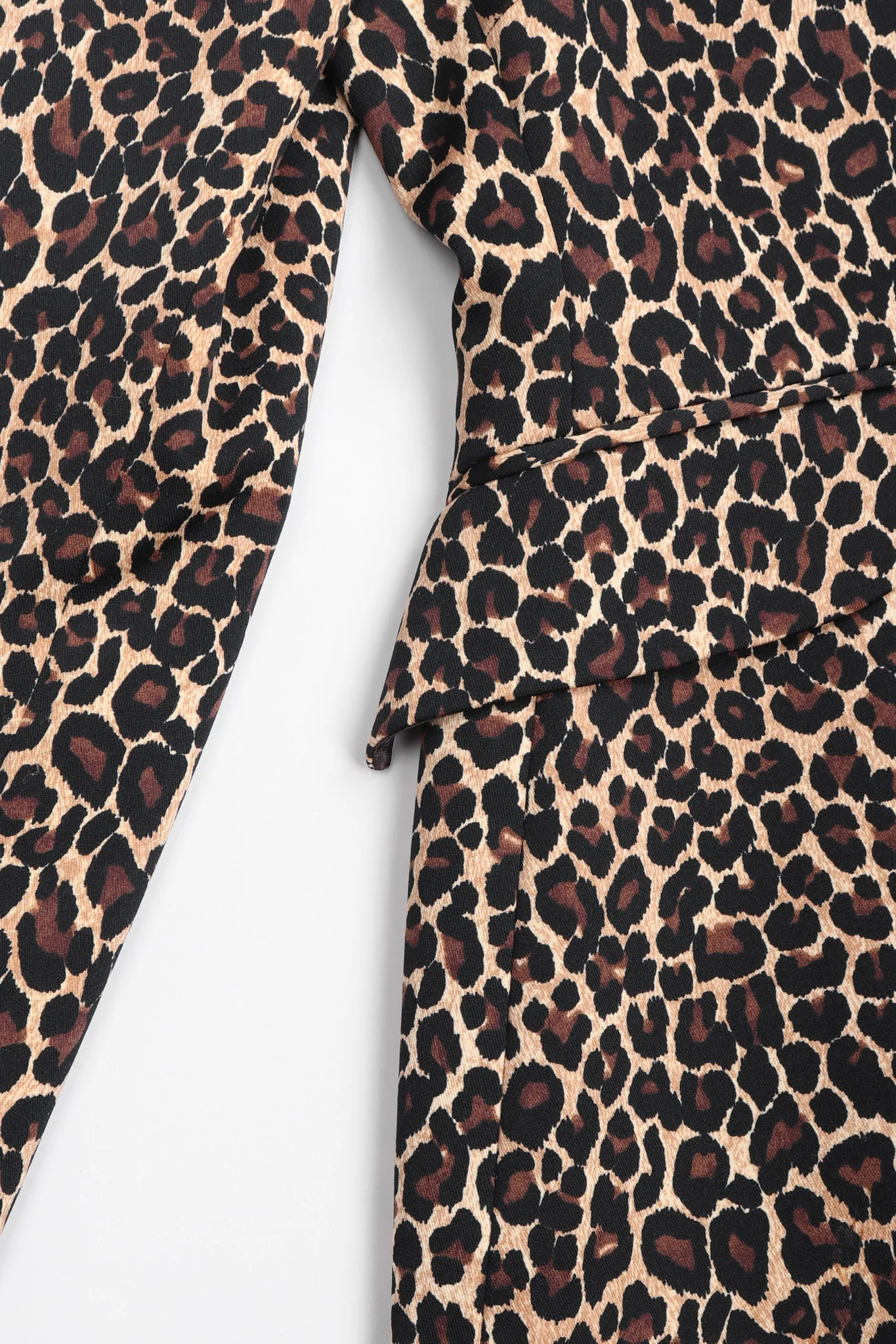 Cheetah Print Suit - Image 15