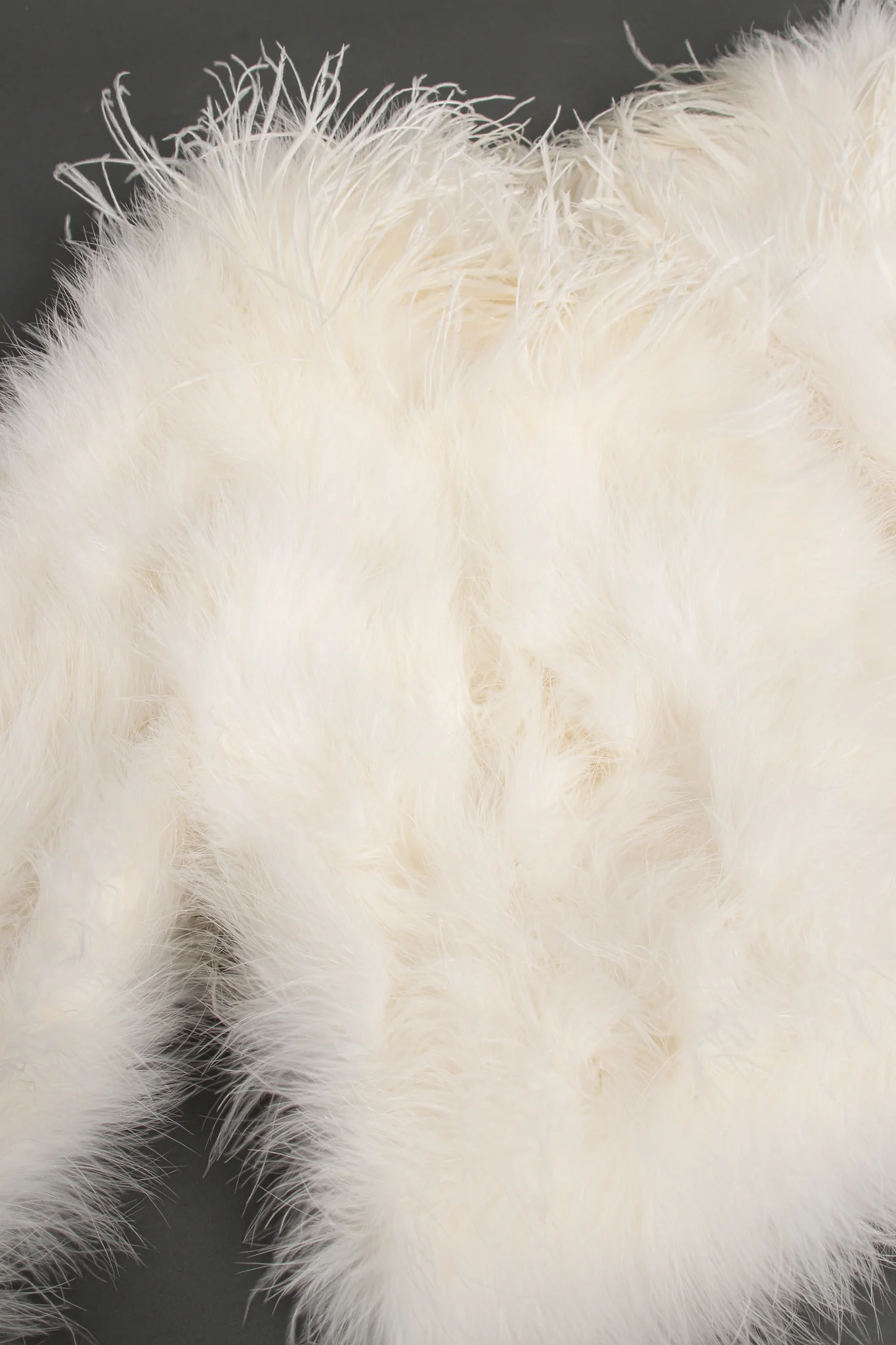 Chubby Marabou & Ostrich Jacket - Image 9