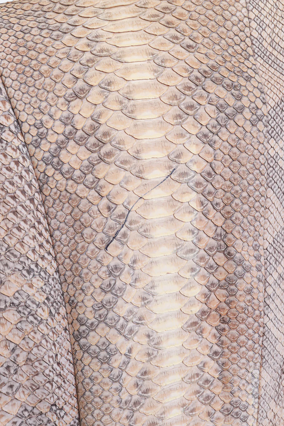 Collarless Python Jacket - Image 9