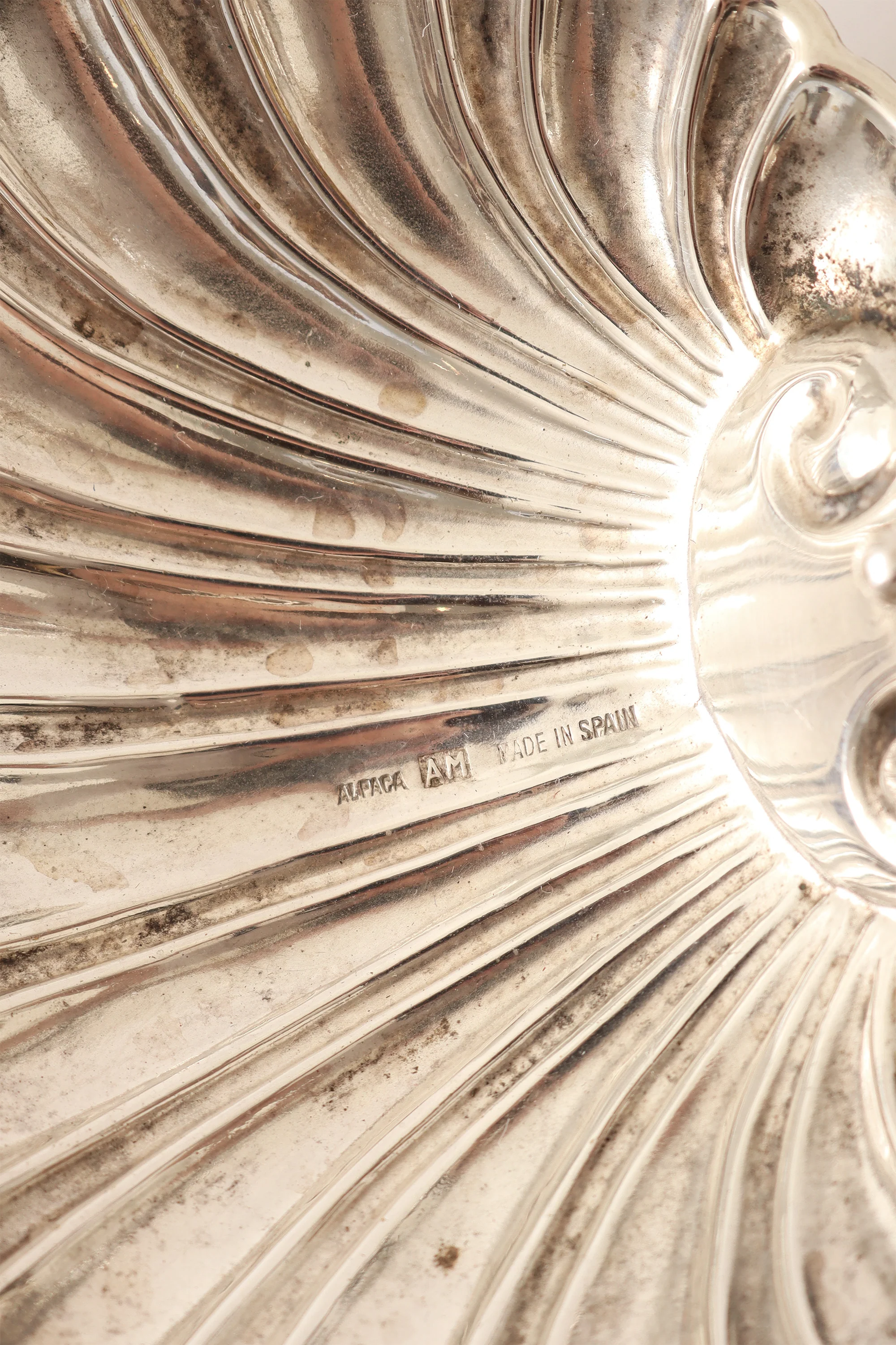 Dolphin Shell Tray - Image 5