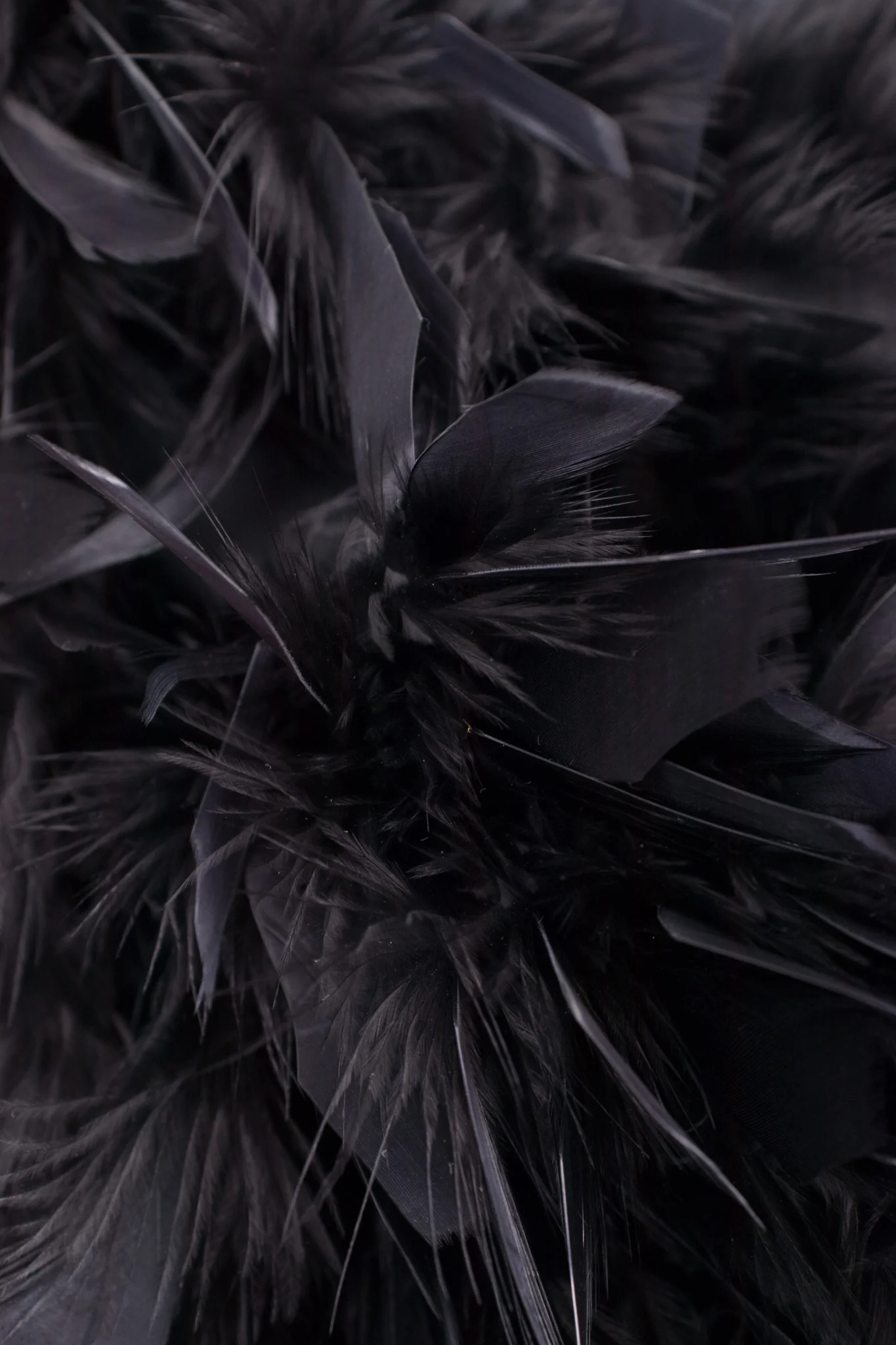 Downy Feather Jacket - Image 11