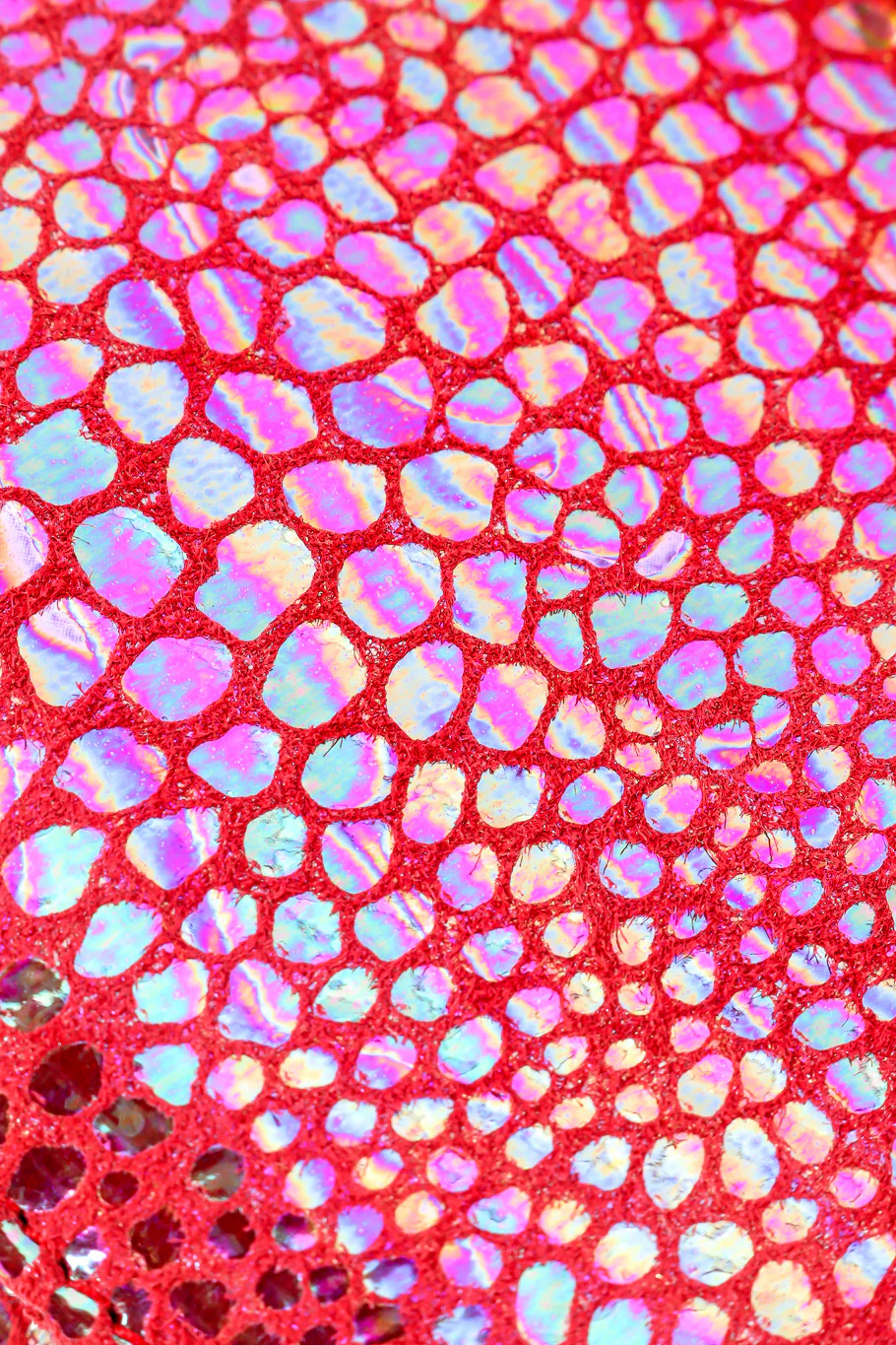 Dragon Scale Clutch - Image 6