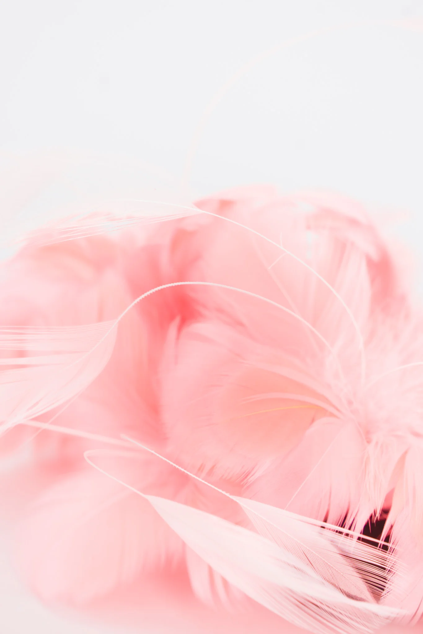 Feather Bomb Haircomb - Image 6