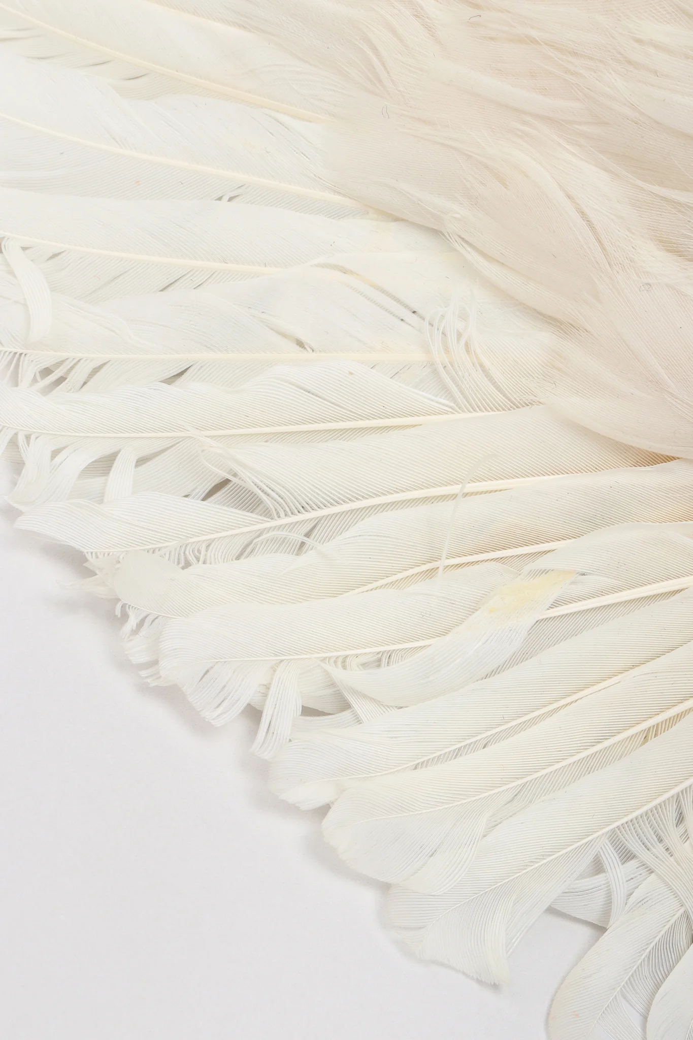 Feather Wing Calot Hat - Image 8