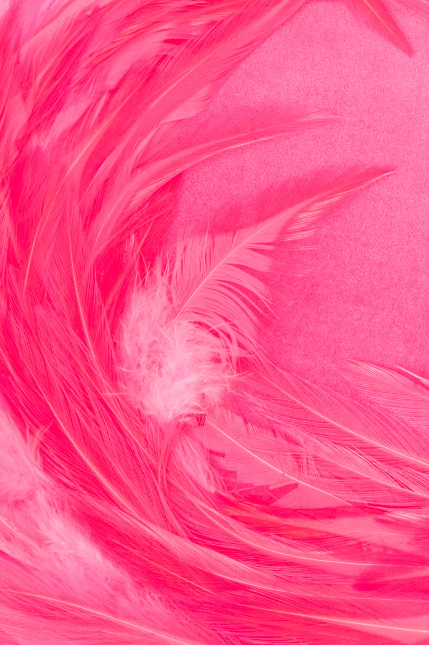 Flamingo Pillbox - Image 7