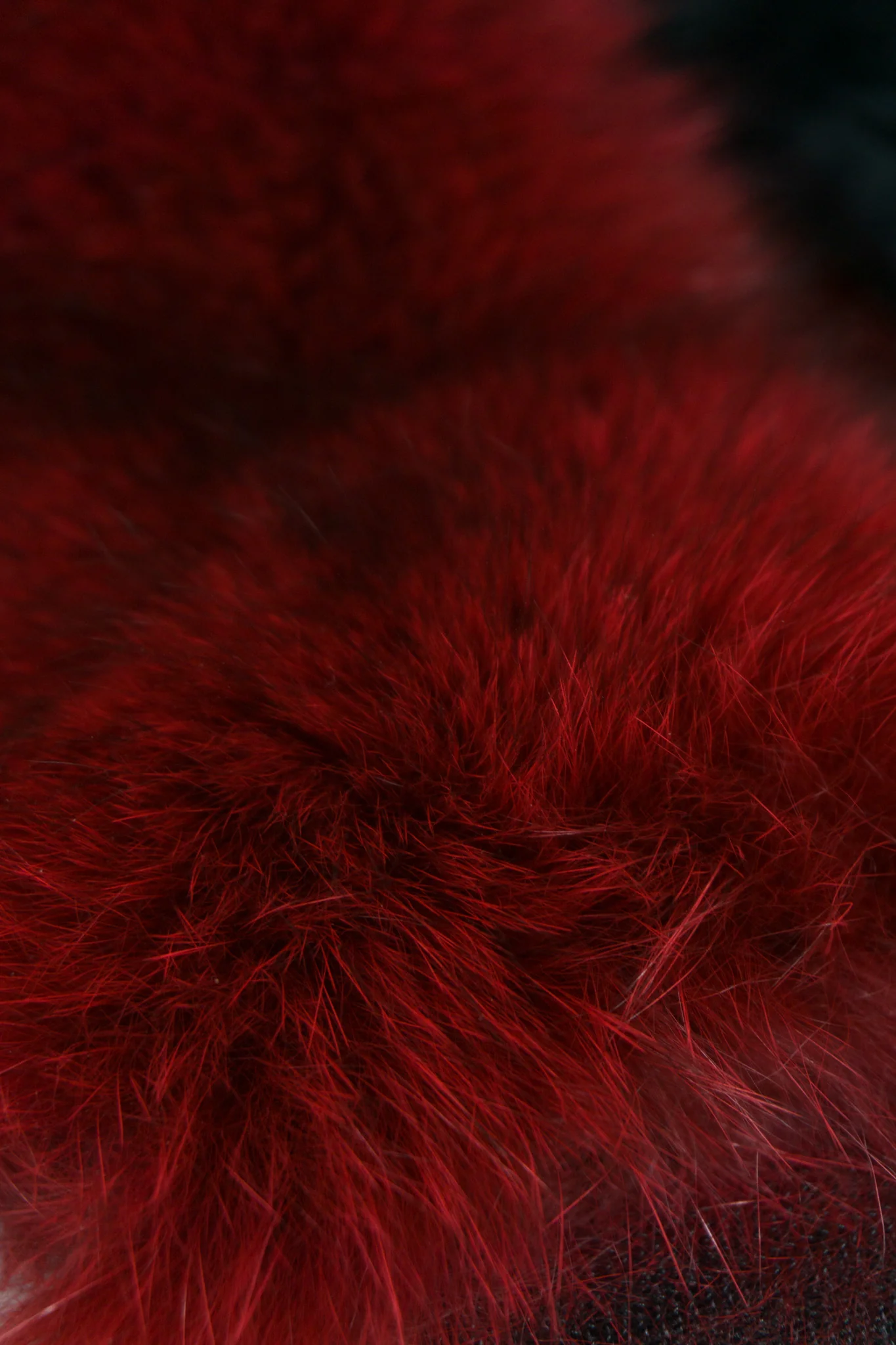 Fur Collar - Image 7
