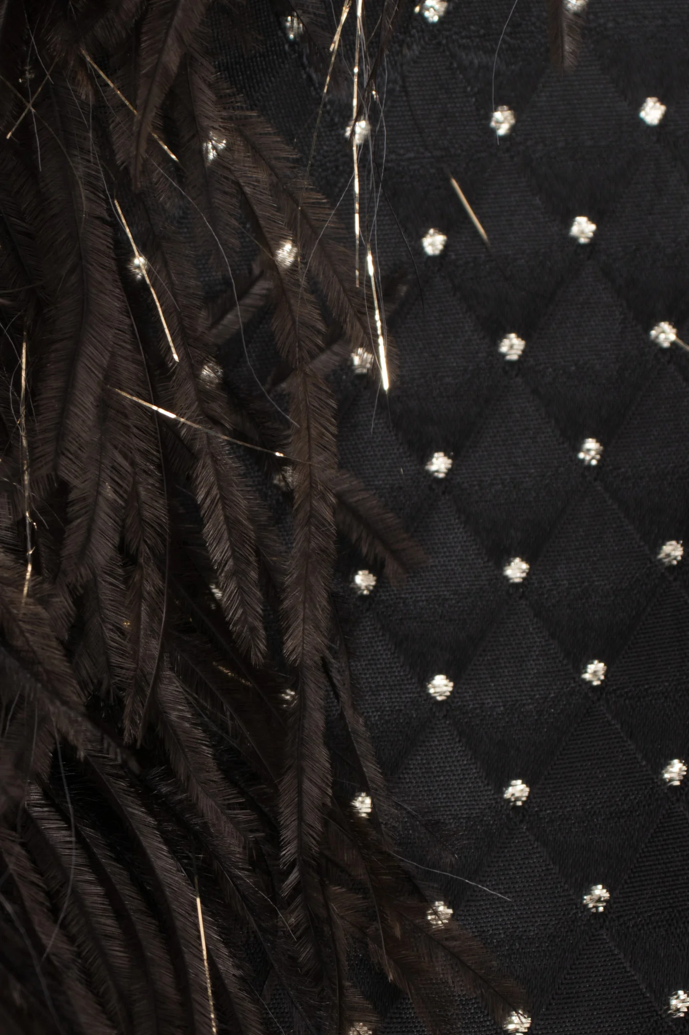 Gold Dotted Ostrich Jacket - Image 10