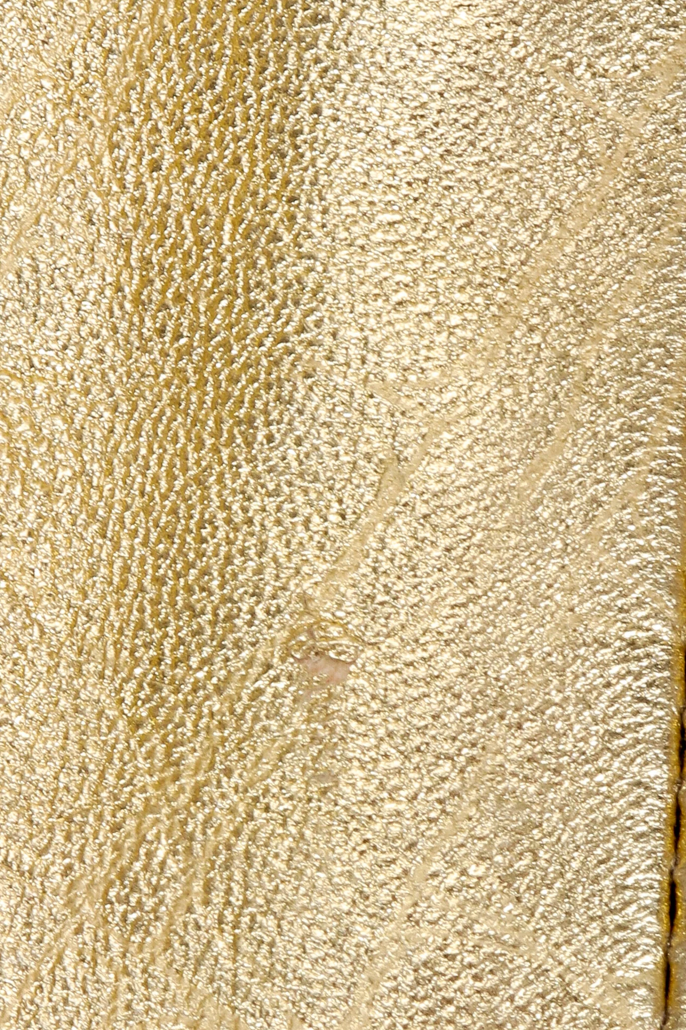Gold Leather Lamé Jacket & Skirt Set - Image 18