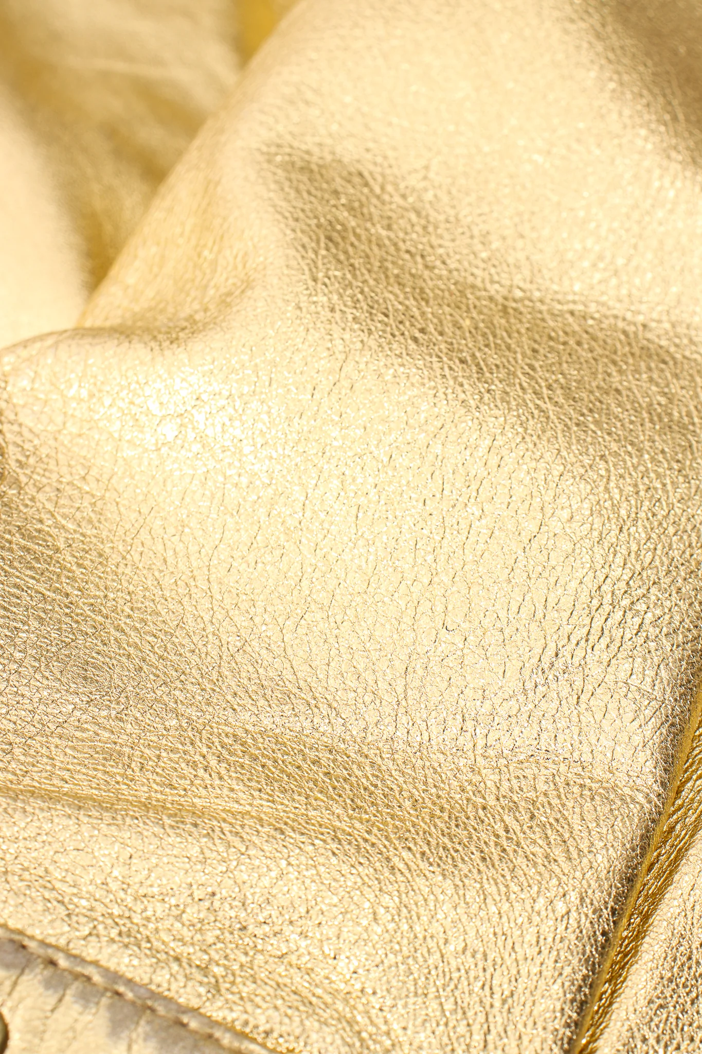 Gold Leather Turnlock Jacket - Image 11