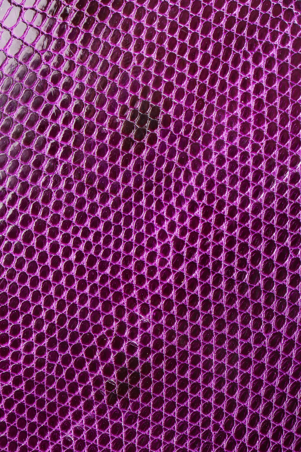 Jeweled Jaguar Convertible Lizard Clutch - Image 13
