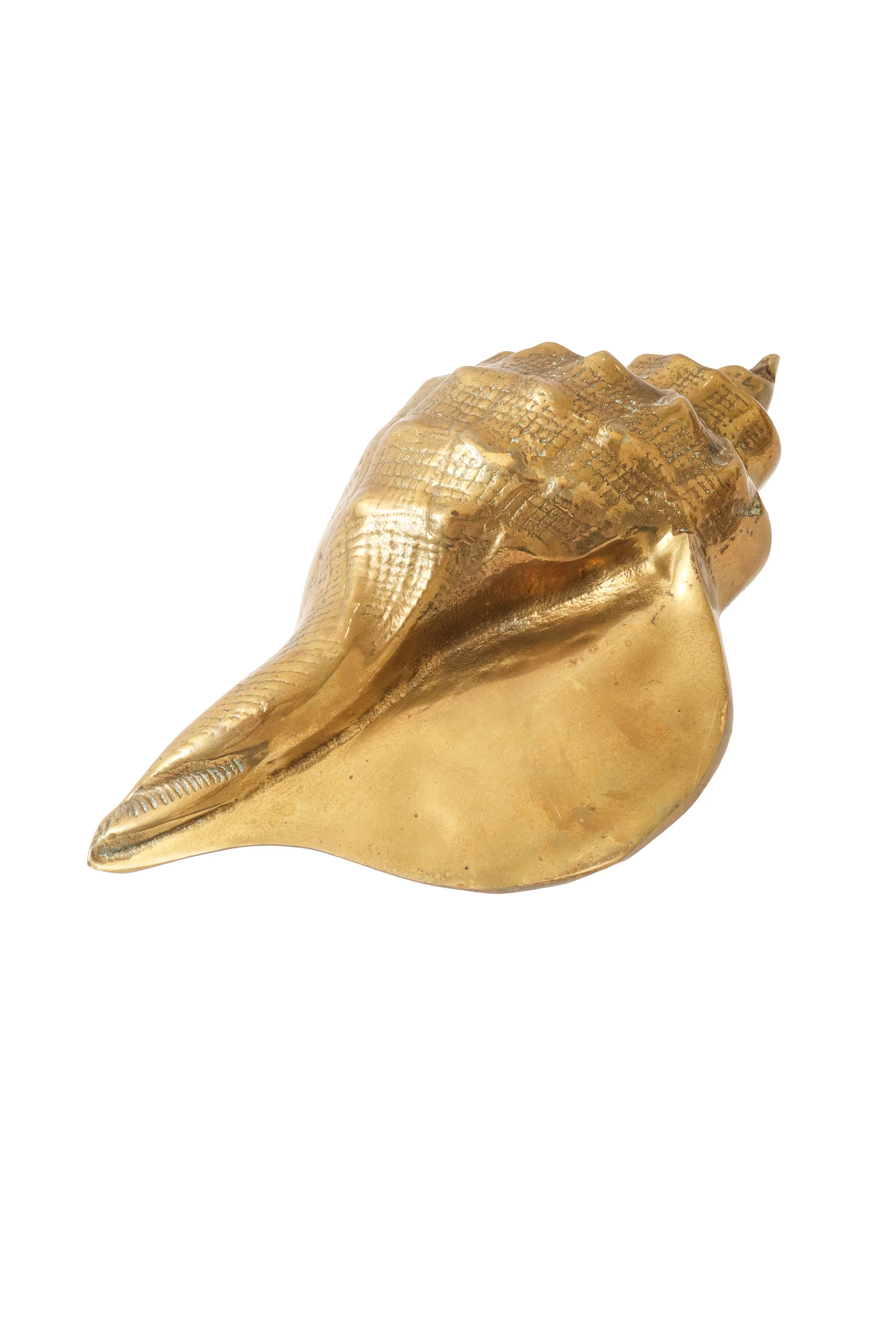 Large Bronze Conch Shell Sculpture