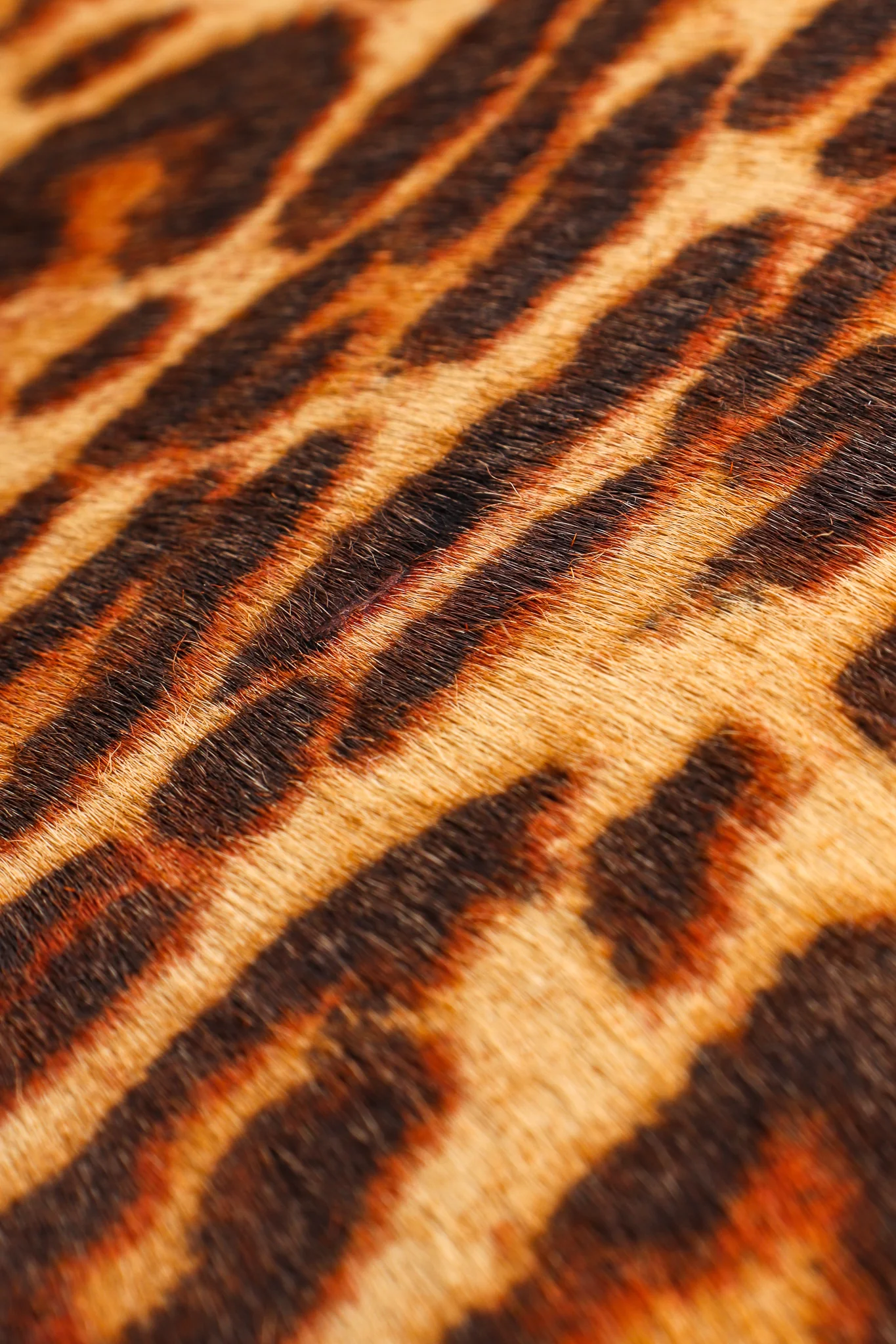 Leopard Pony Hair Frame Handbag - Image 8