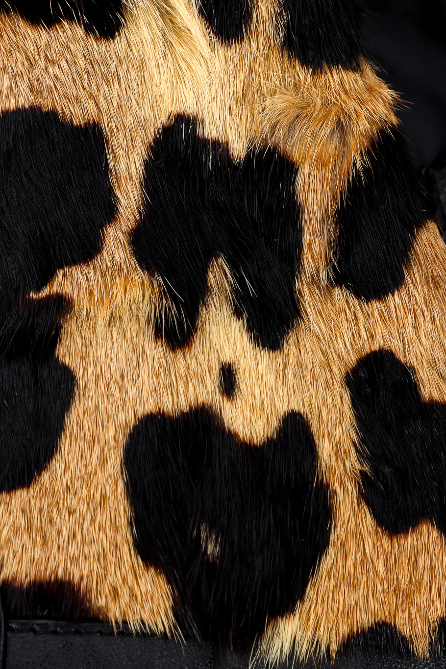 Leopard Trim Leather Jacket - Image 8