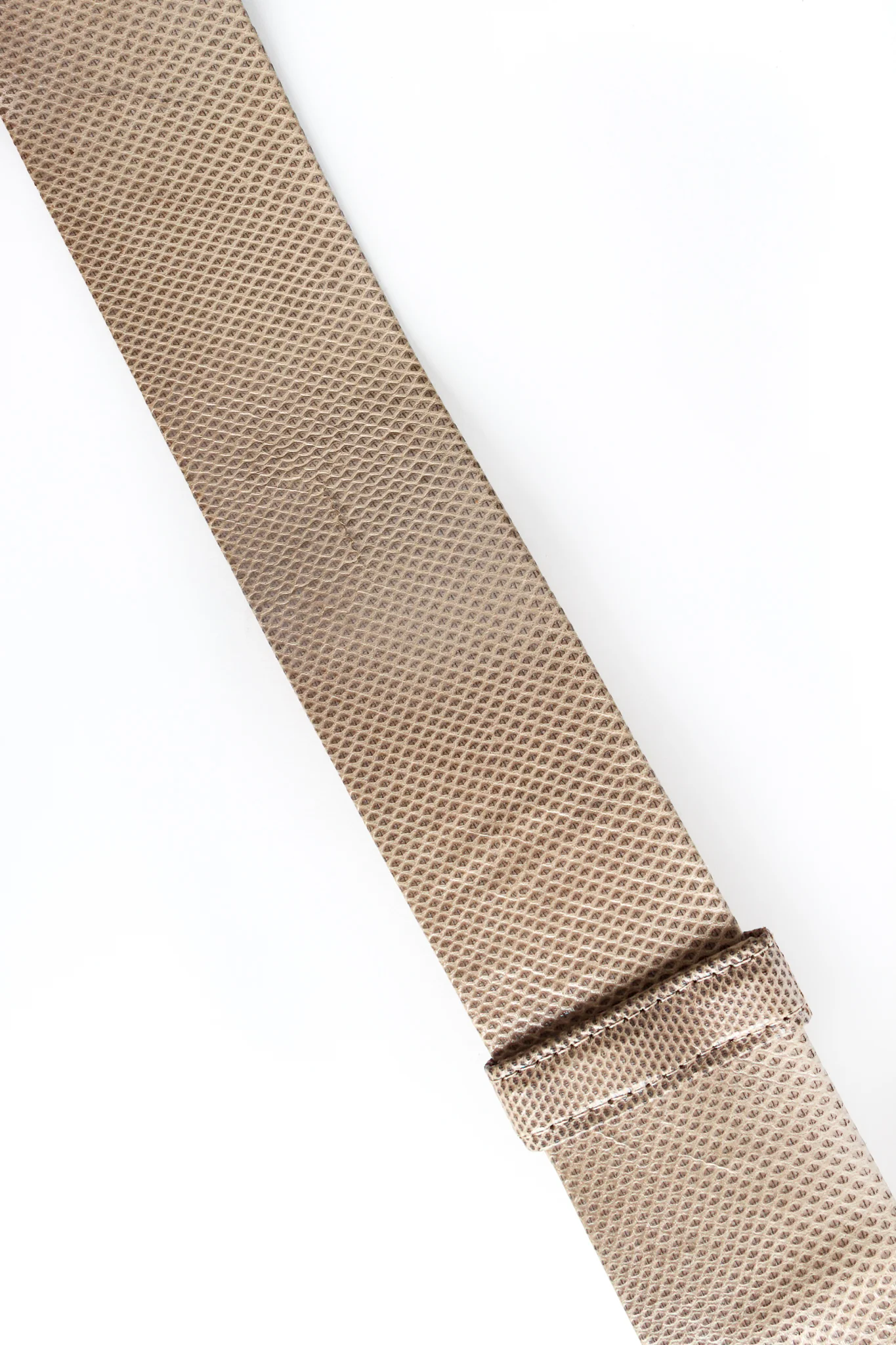 Lion King Lizard Buckle Belt - Image 13
