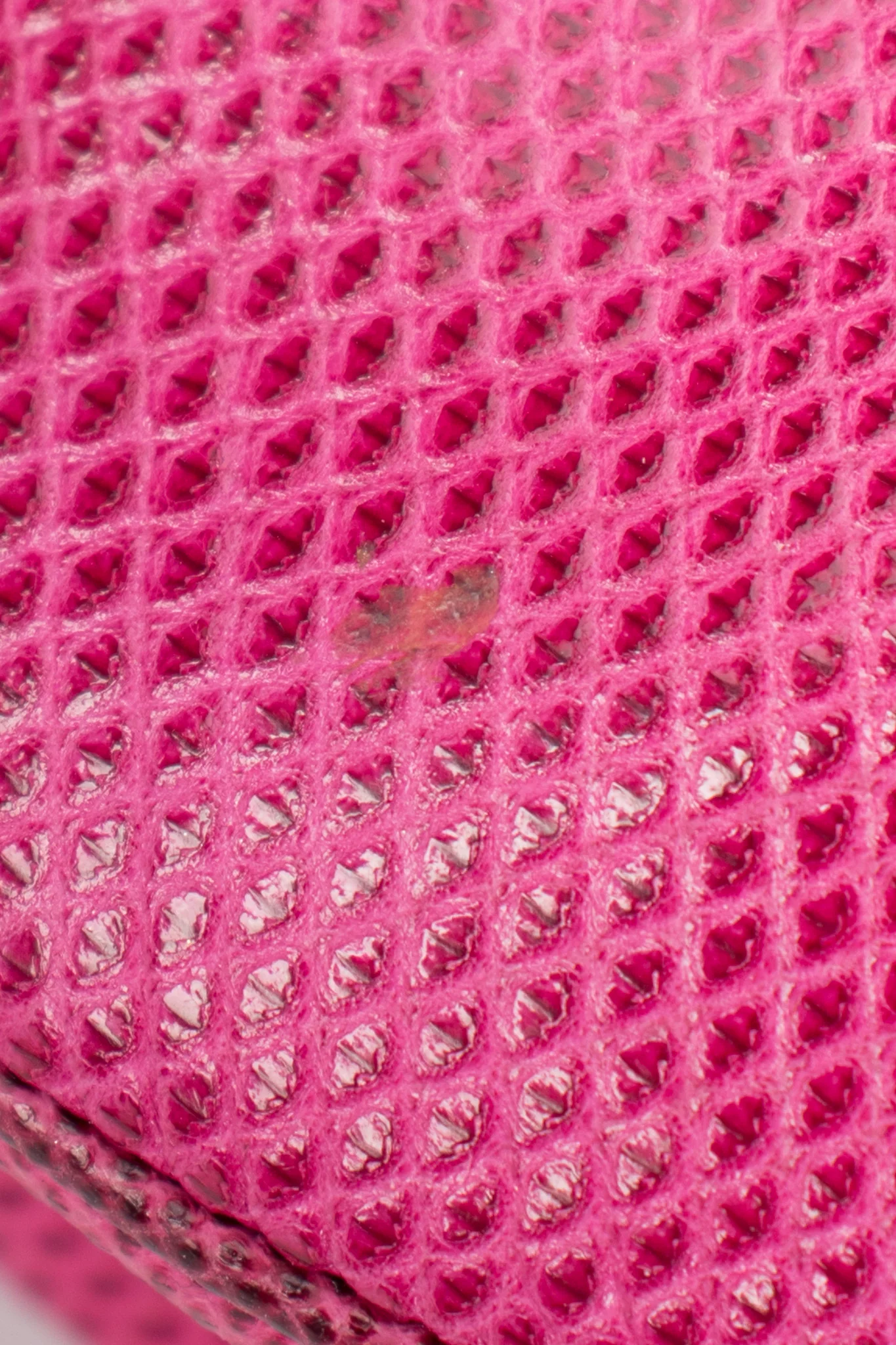 Lizard Chain Clutch - Image 19