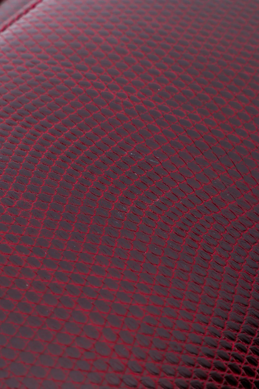Lizard Deco Clutch - Image 12