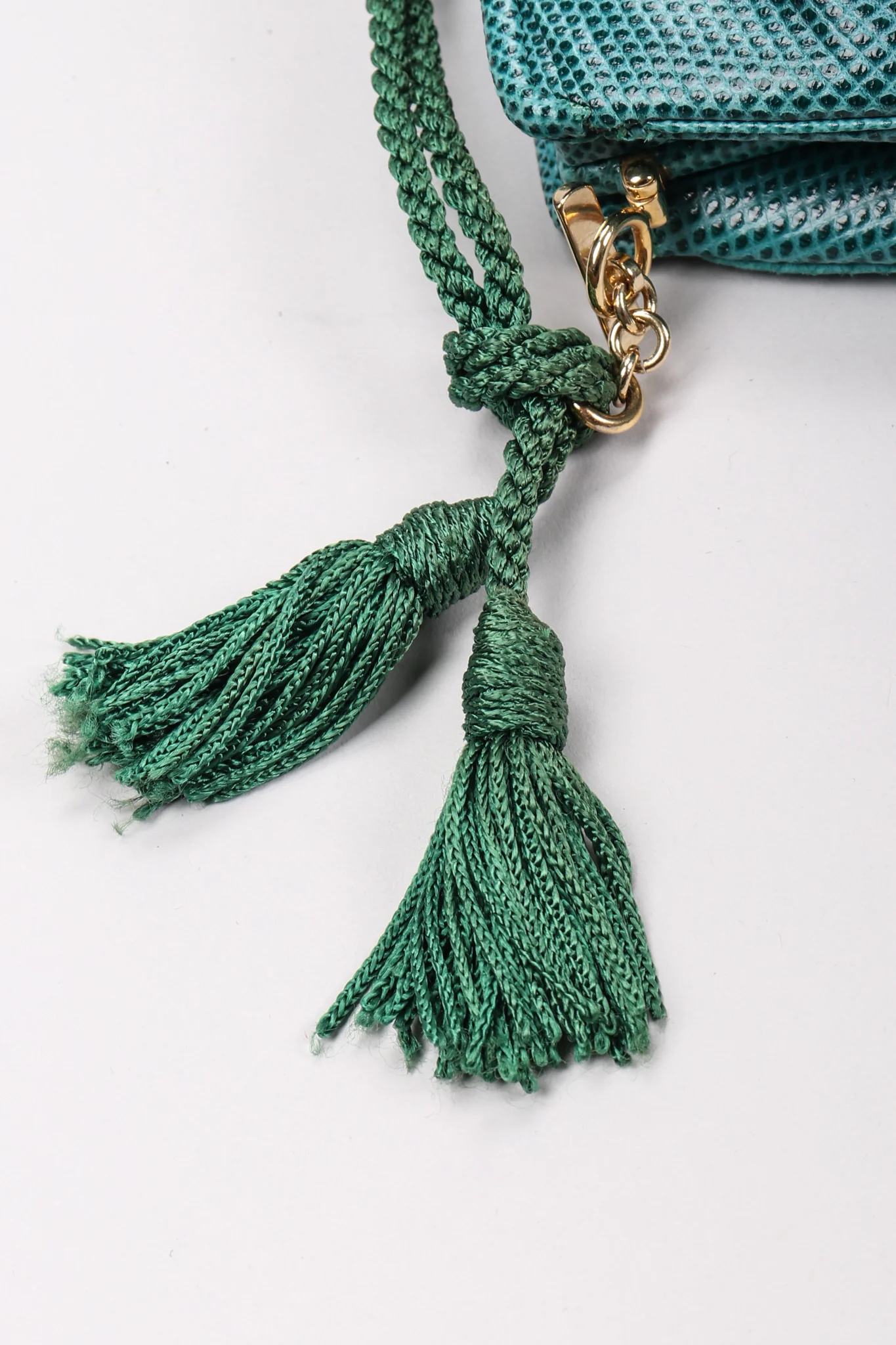 Lizard Tassel Bag - Image 7