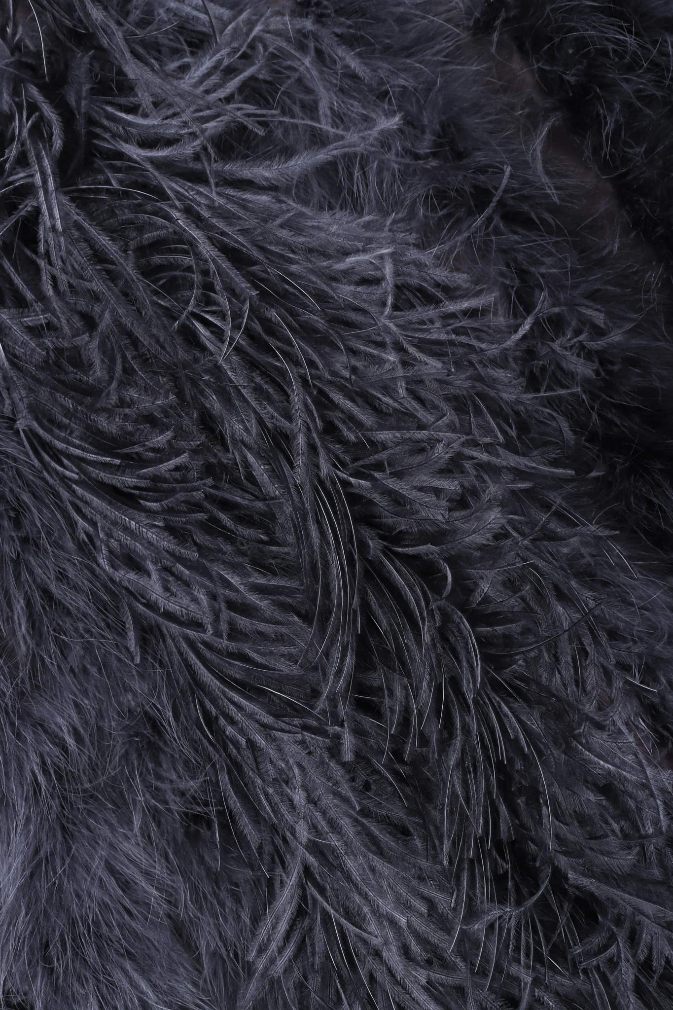 Marabou & Ostrich Feather Jacket - Image 13