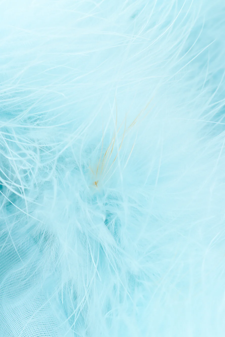 Marabou Trim Robe & Chemise Set - Image 10