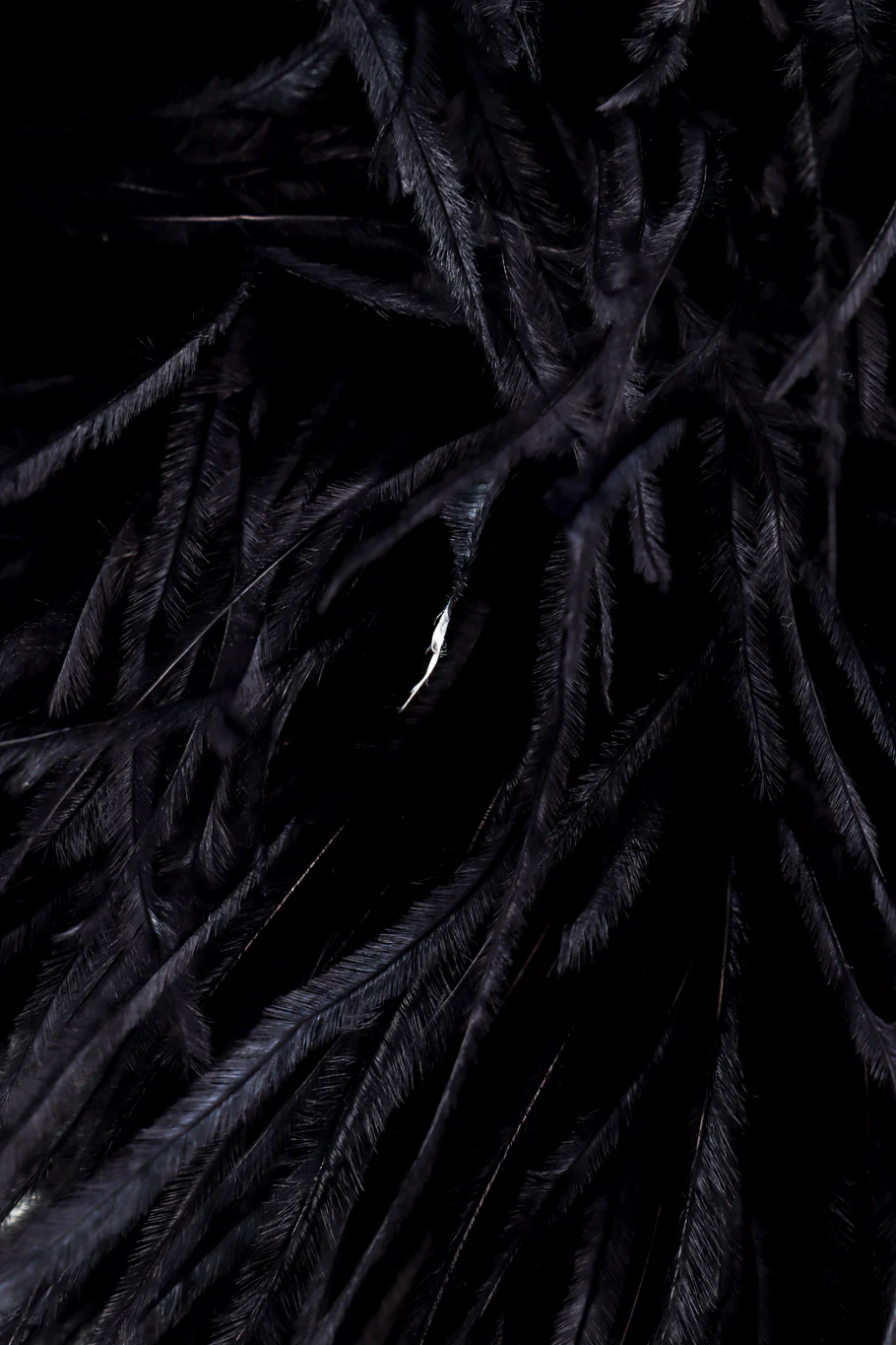 Marabou Feather Hat - Image 9