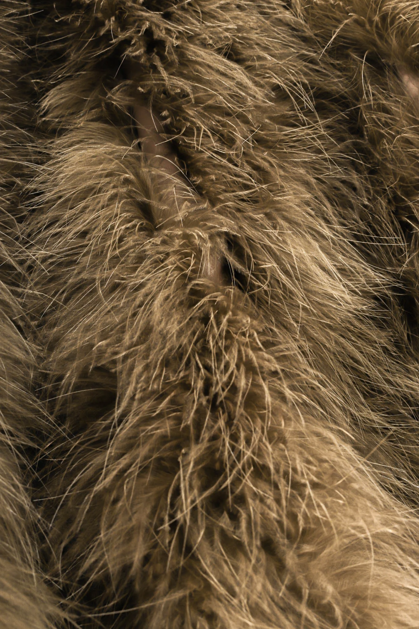 Moss Marabou Feather Coat - Image 8
