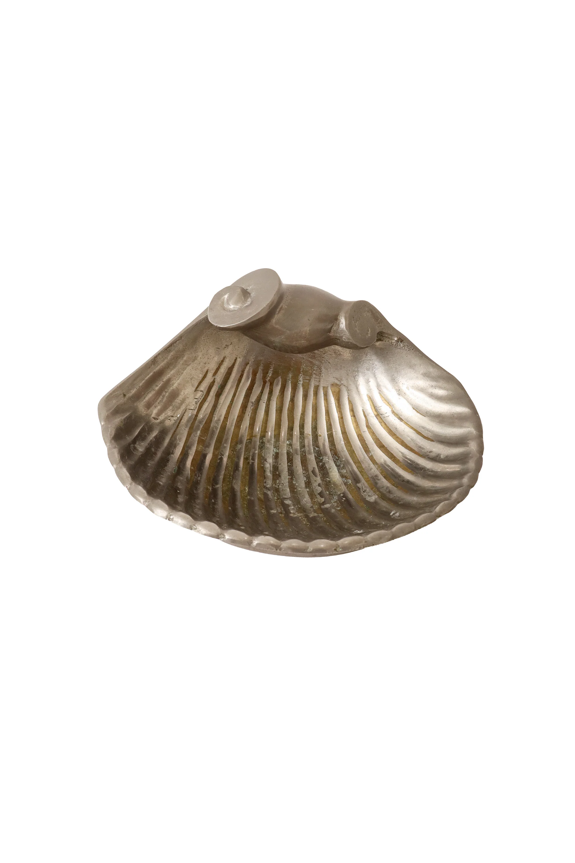 Nautilus Shell Trinket Dish