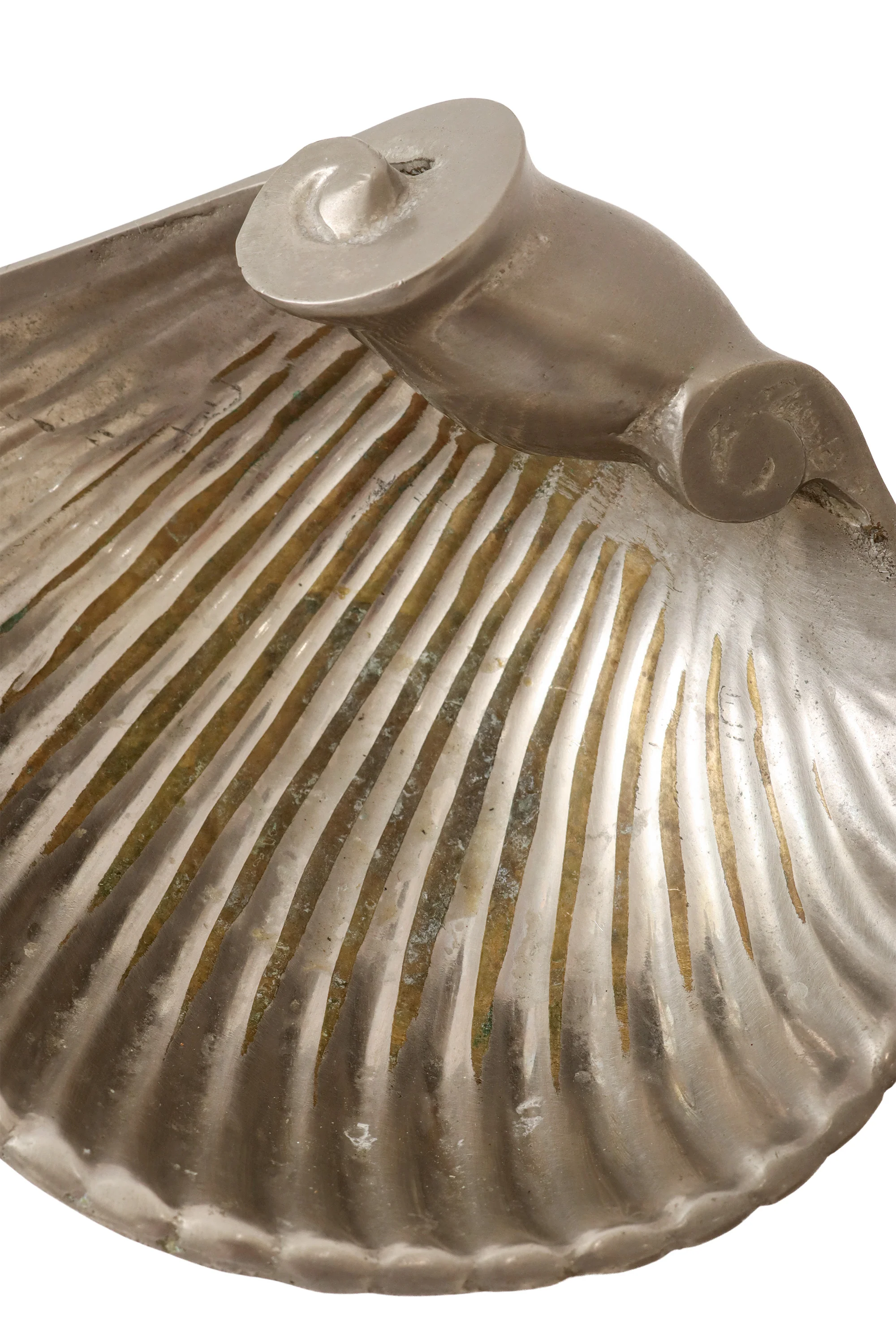 Nautilus Shell Trinket Dish - Image 2