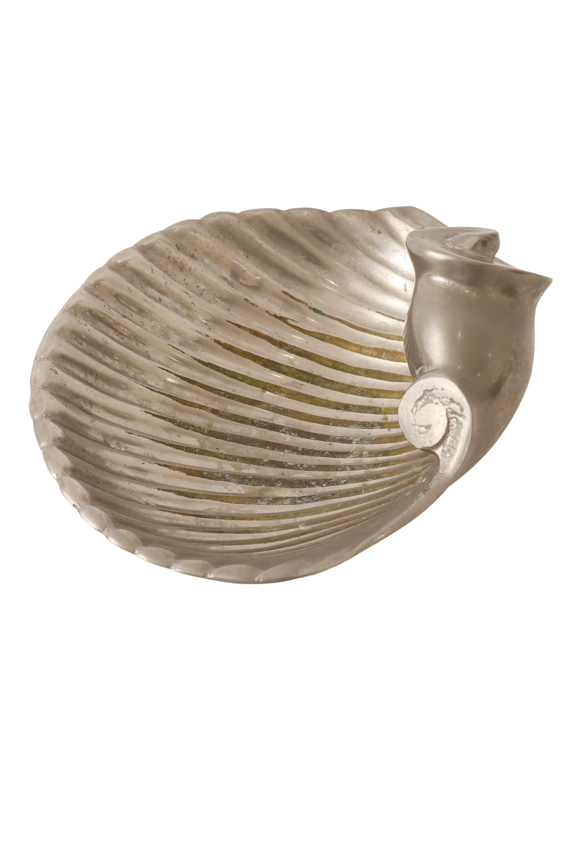 Nautilus Shell Trinket Dish - Image 3