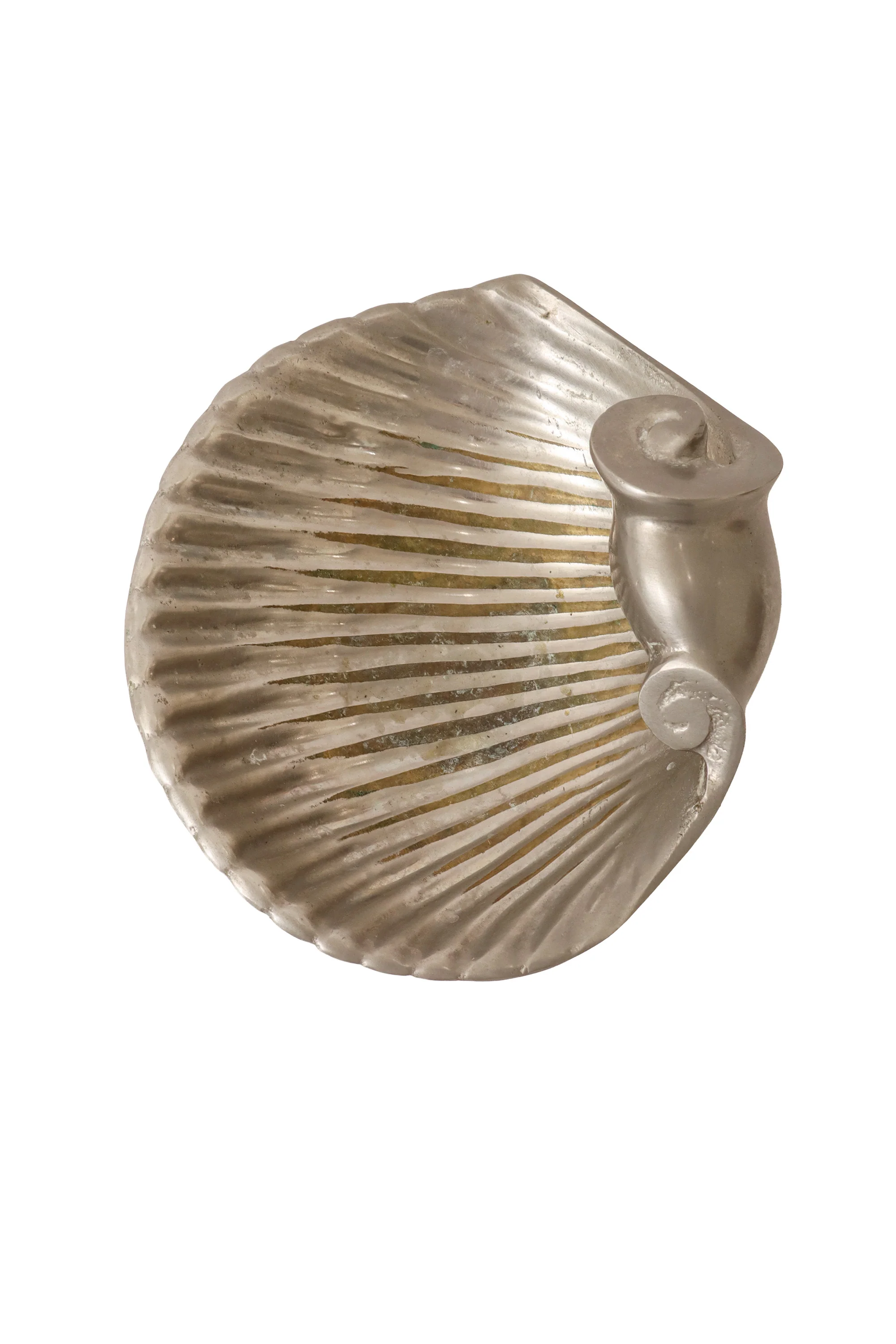 Nautilus Shell Trinket Dish - Image 4