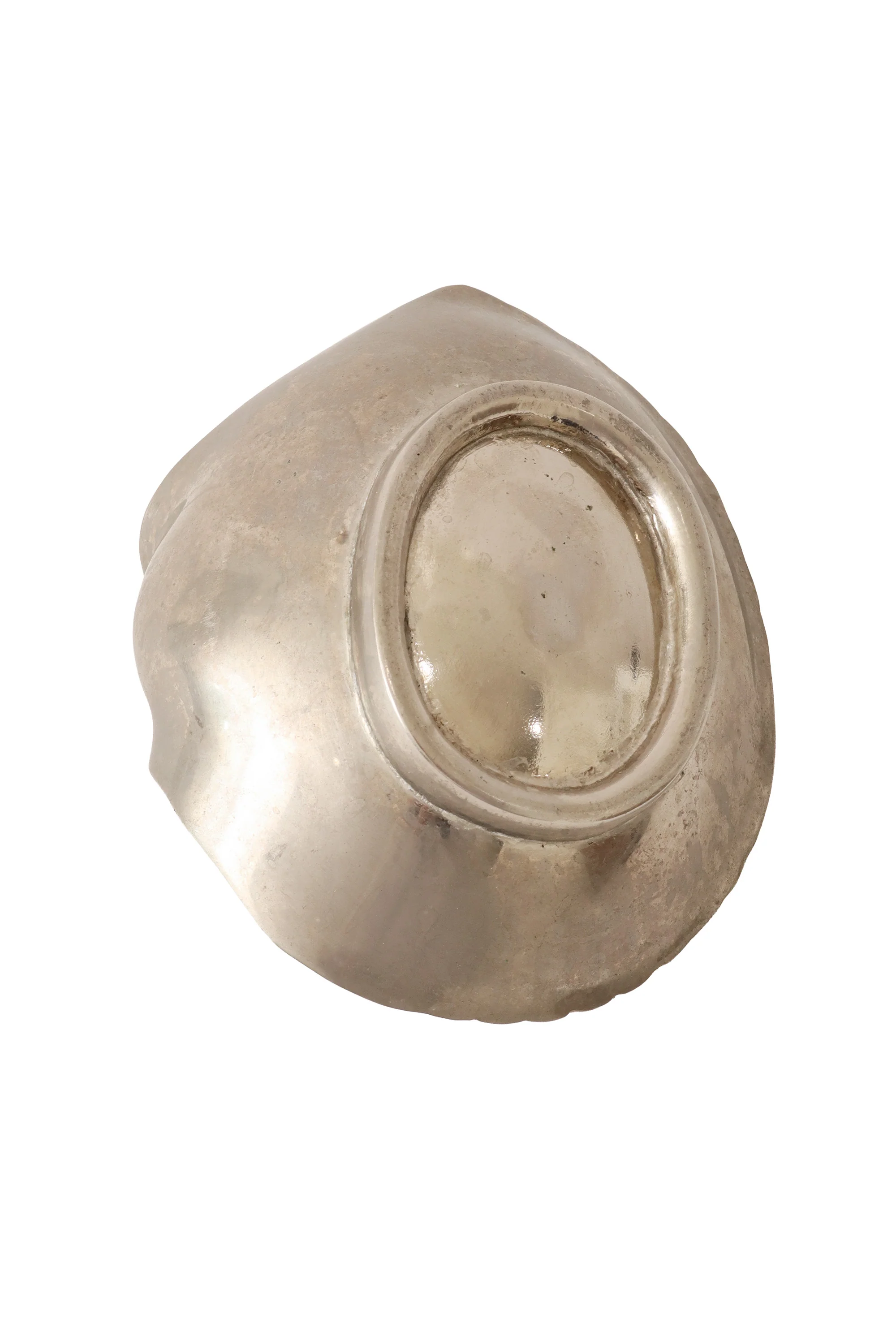 Nautilus Shell Trinket Dish - Image 5