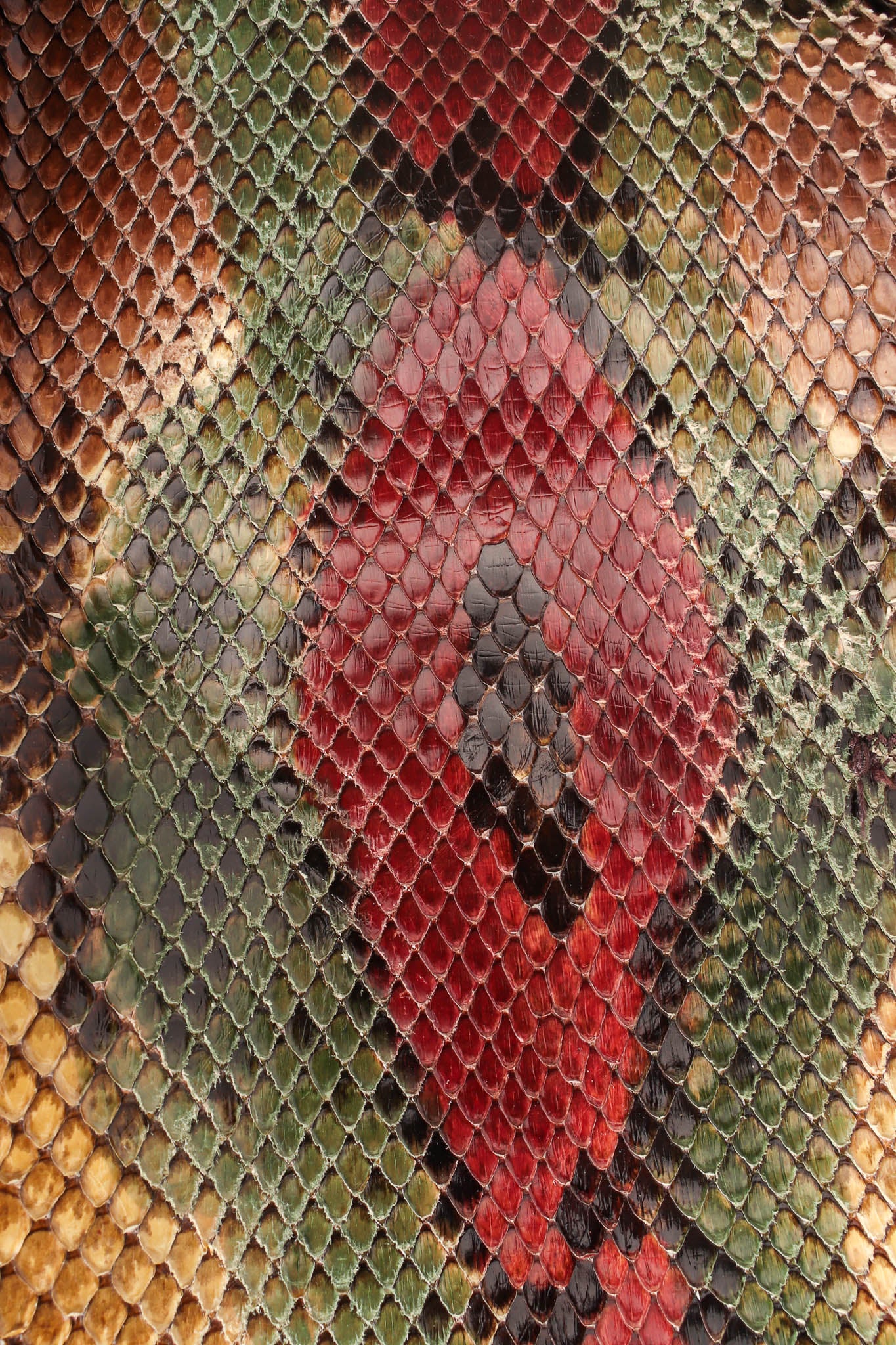 Ombré Snakeskin Blazer - Image 12