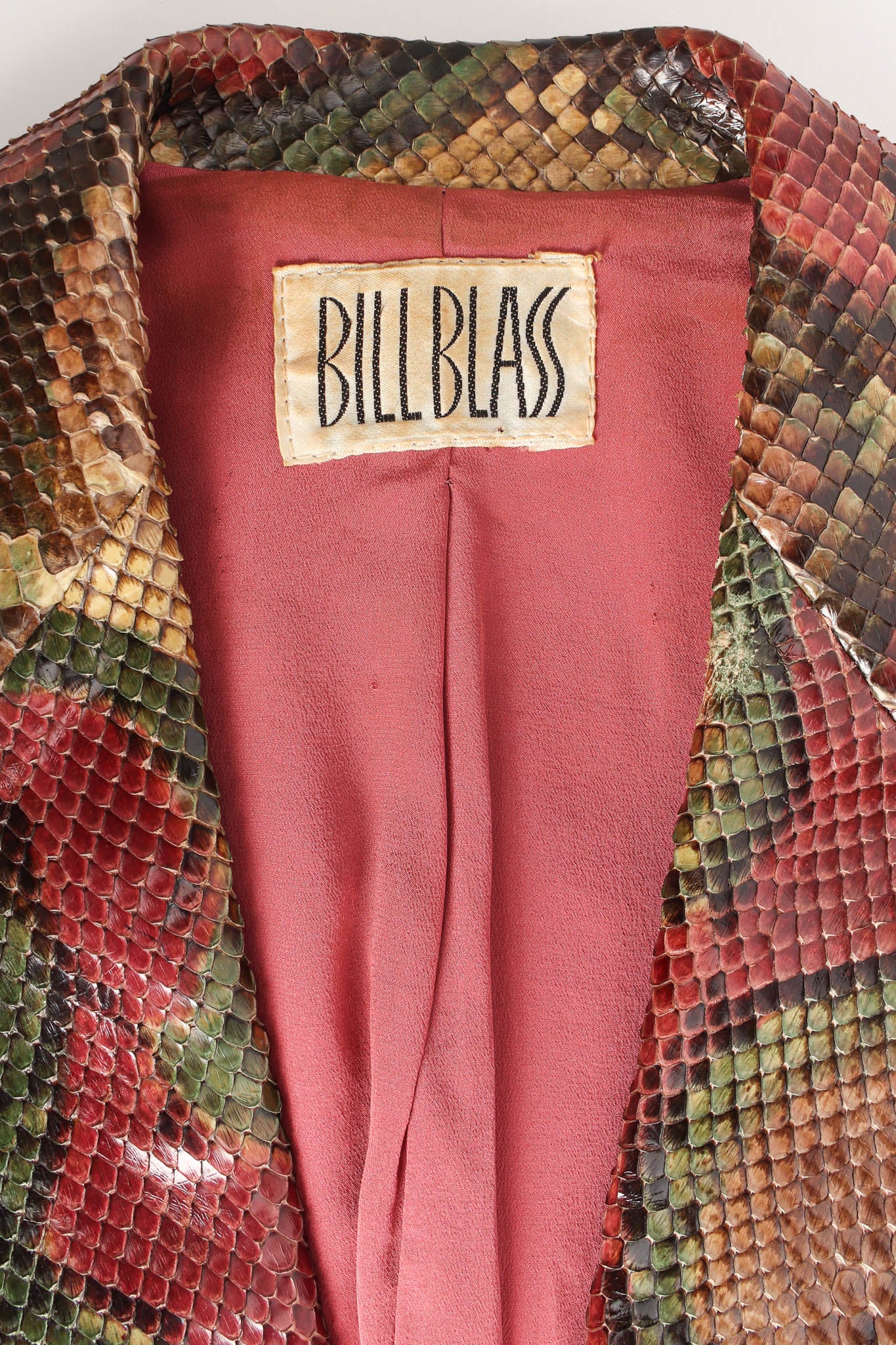 Ombré Snakeskin Blazer - Image 13