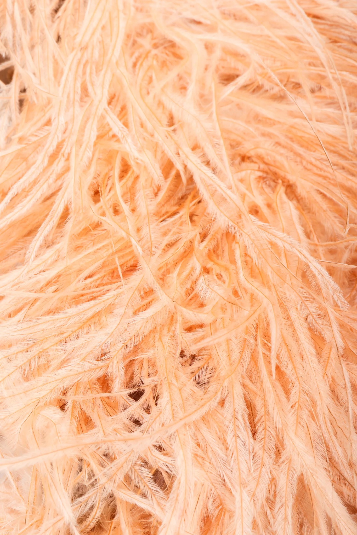 Ostrich Feather Burnout Jacket - Image 10