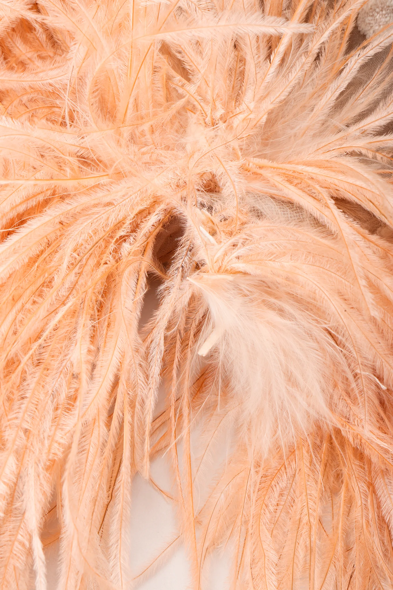 Ostrich Feather Burnout Jacket - Image 13