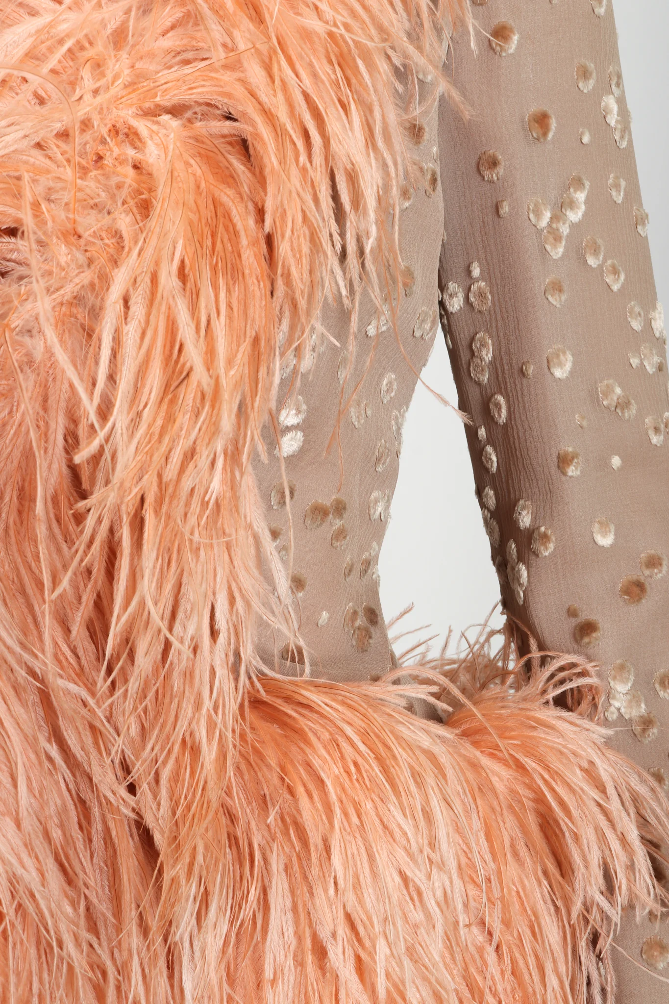 Ostrich Feather Burnout Jacket - Image 5
