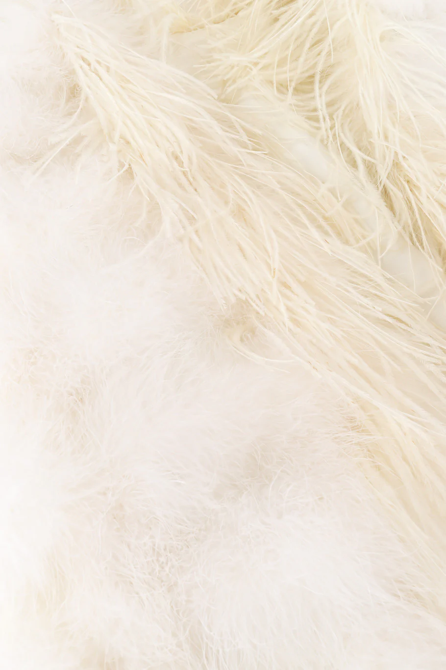 Ostrich Feather Cape - Image 6