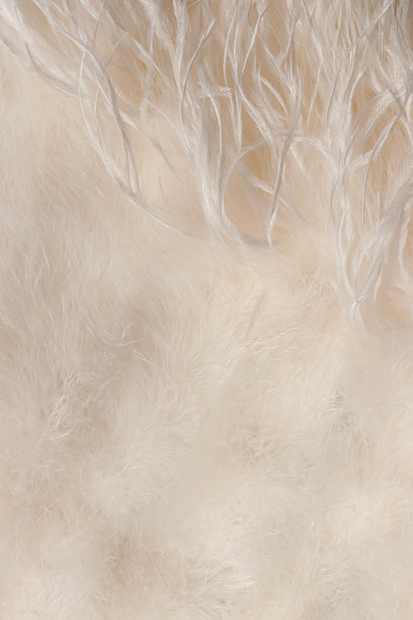 Ostrich Feather Jacket - Image 8