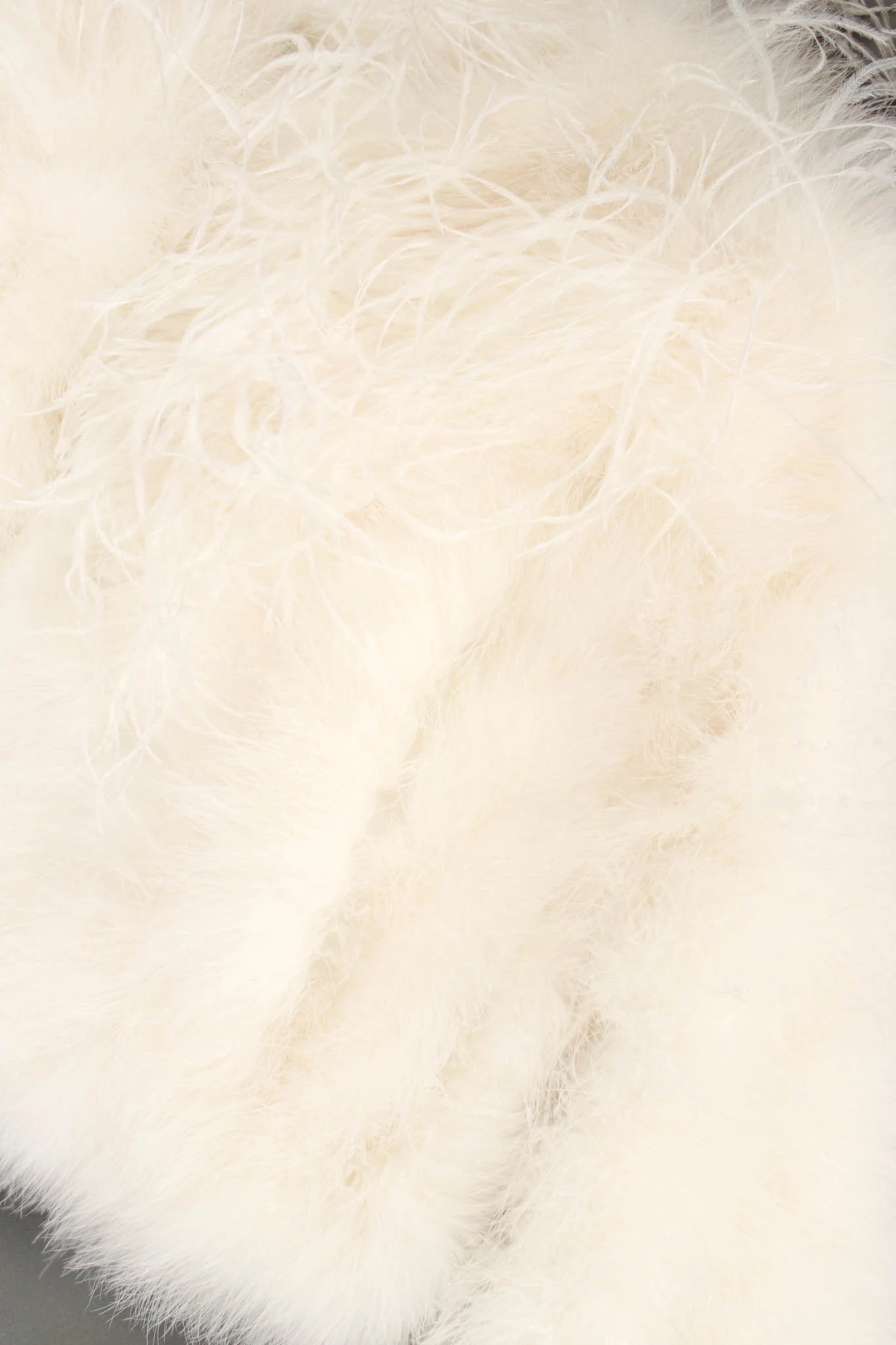 Ostrich Feather Jacket - Image 9