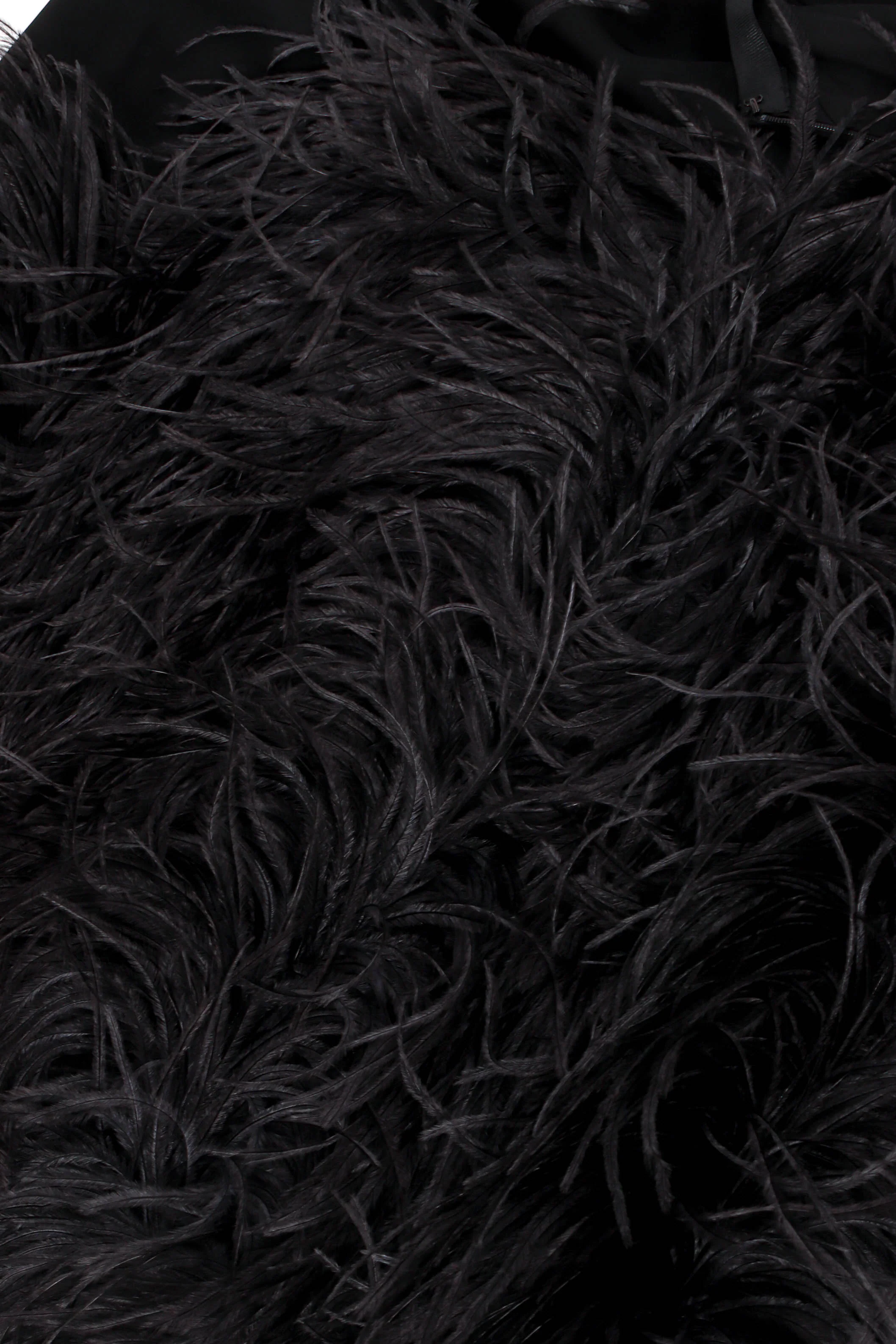 Ostrich Feather Pencil Skirt - Image 9