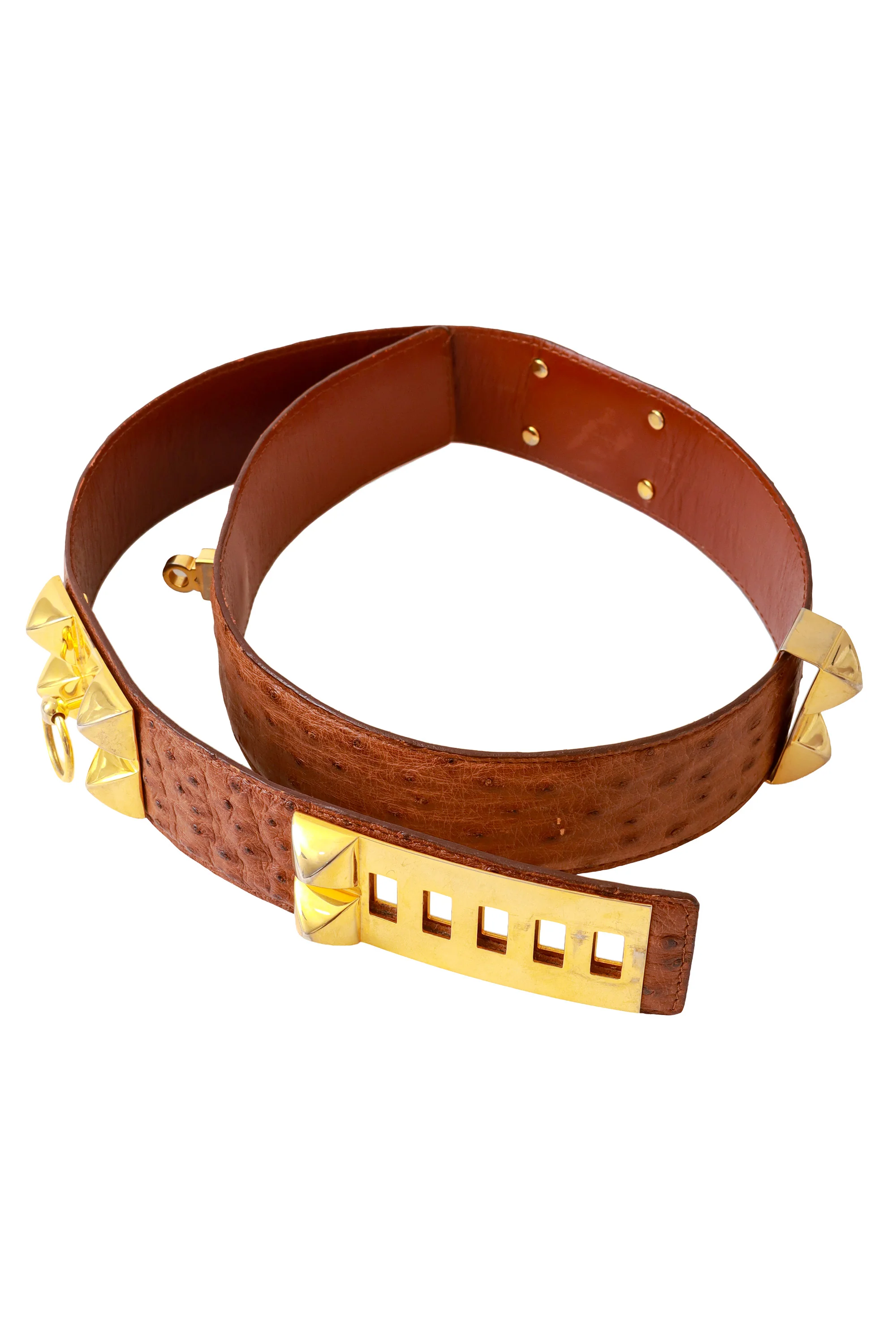 Ostrich Stud Belt - Image 3