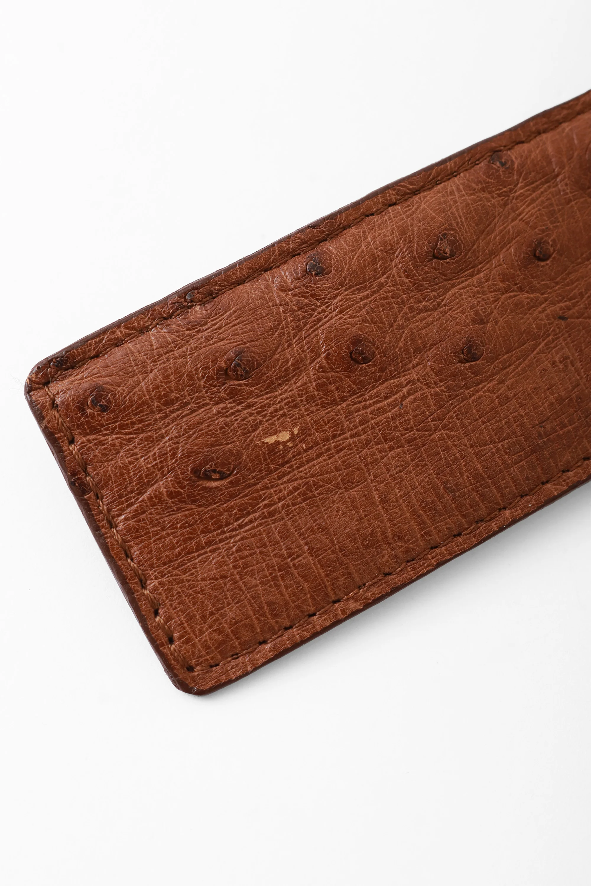 Ostrich Stud Belt - Image 6