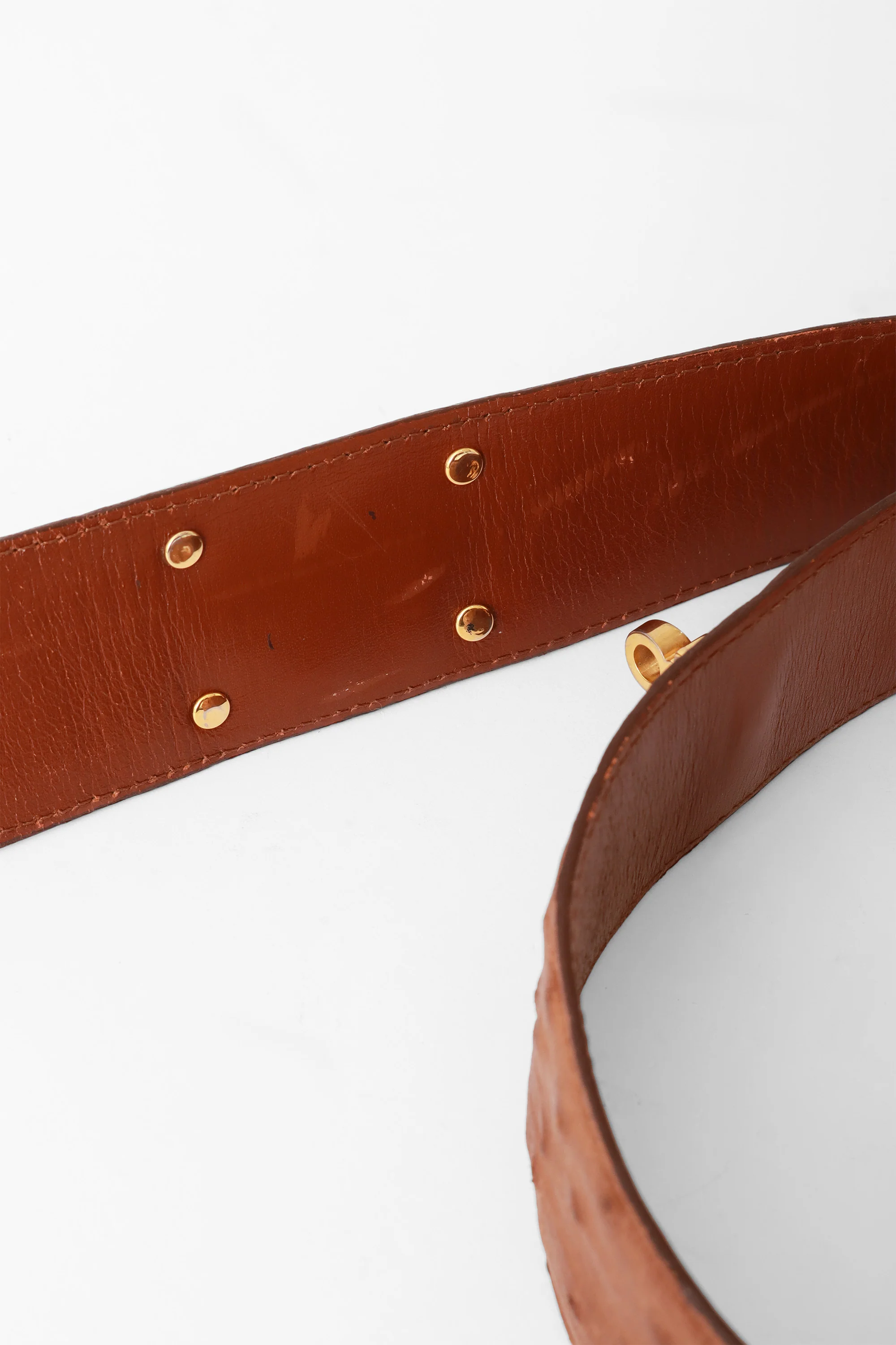 Ostrich Stud Belt - Image 8