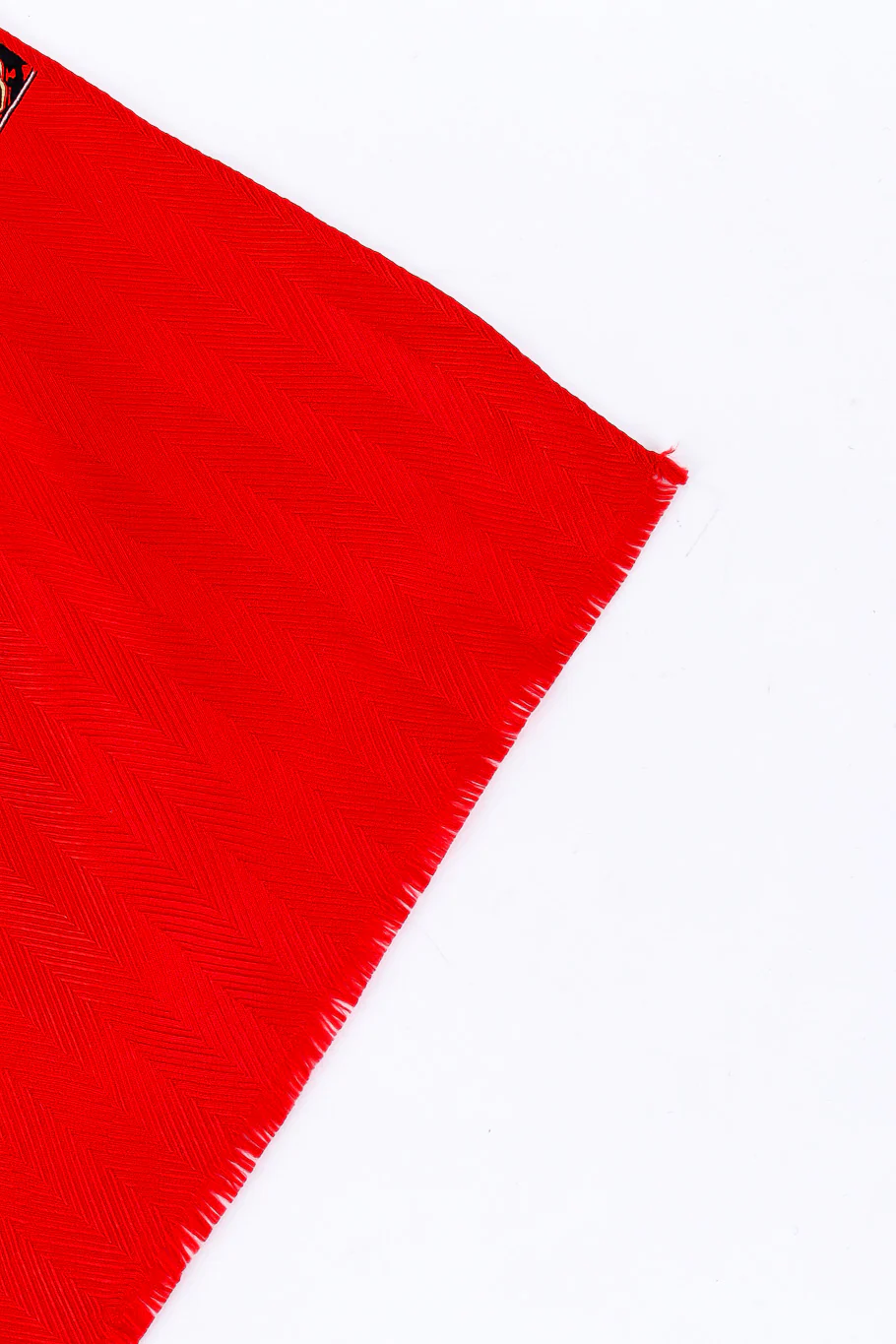 Paisley Pattern Scarf - Image 4