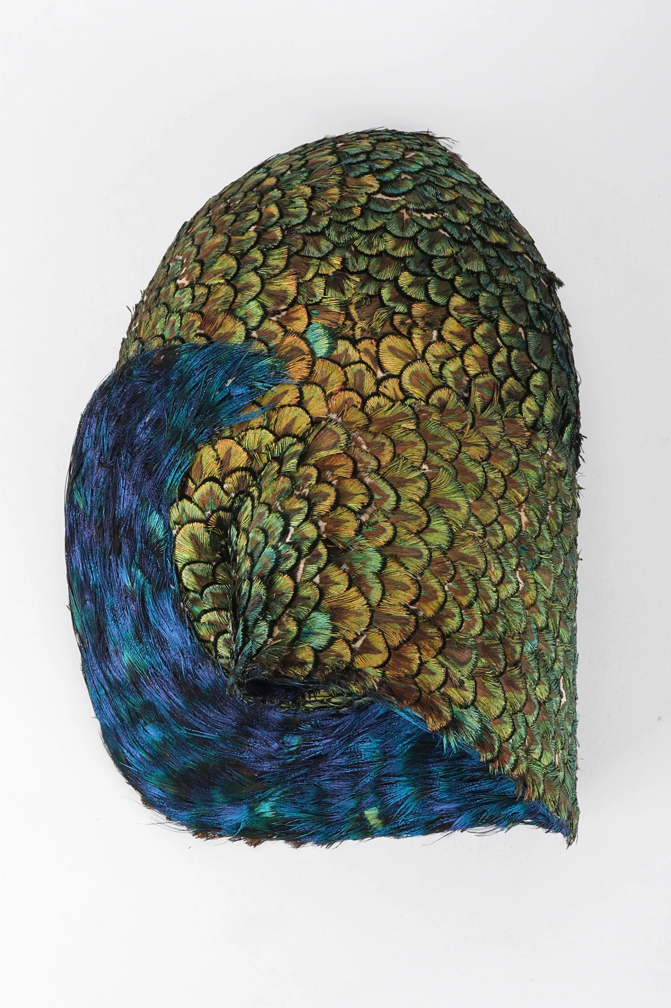 Peacock Swirl Capulet Hat - Image 16