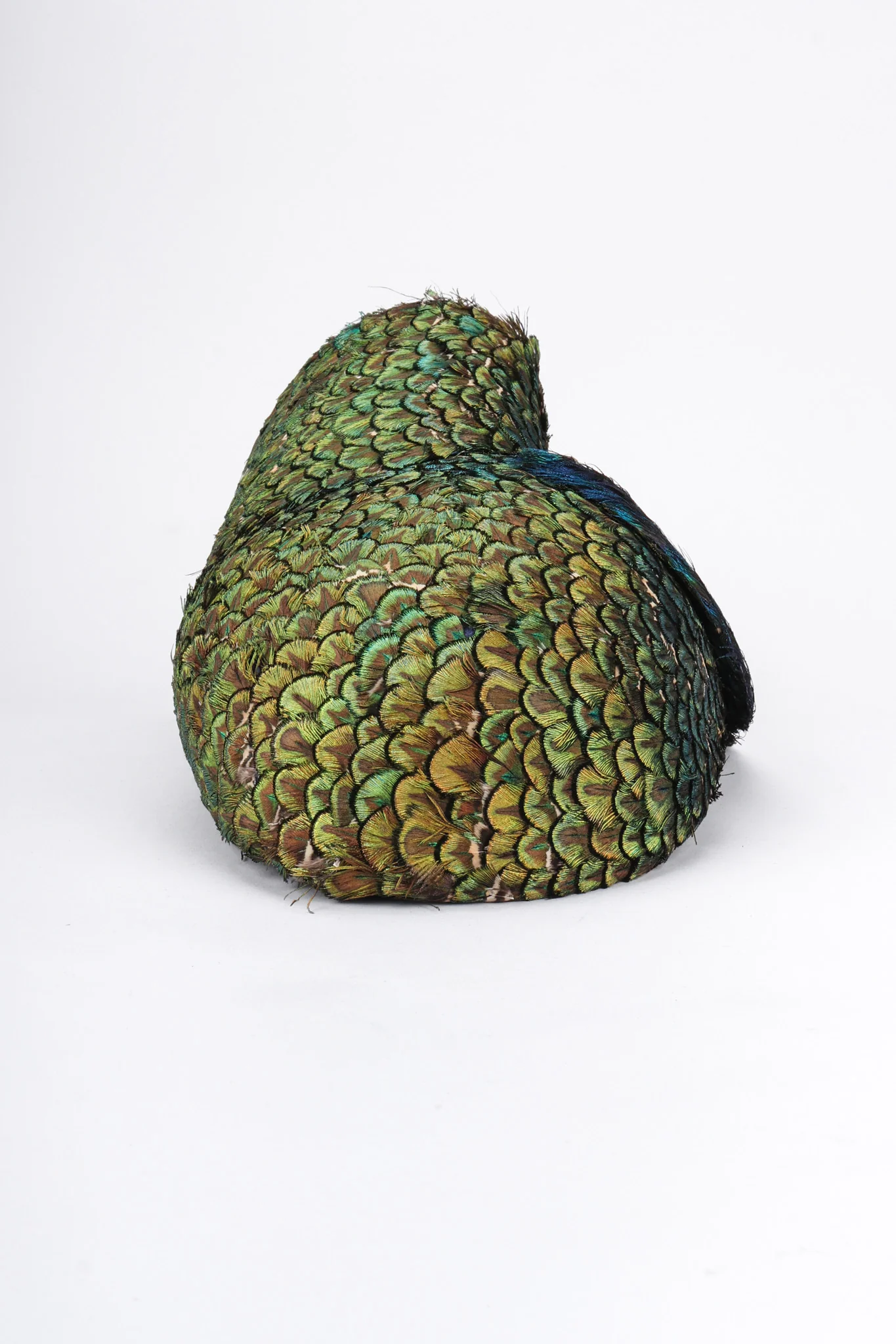 Peacock Swirl Capulet Hat - Image 7