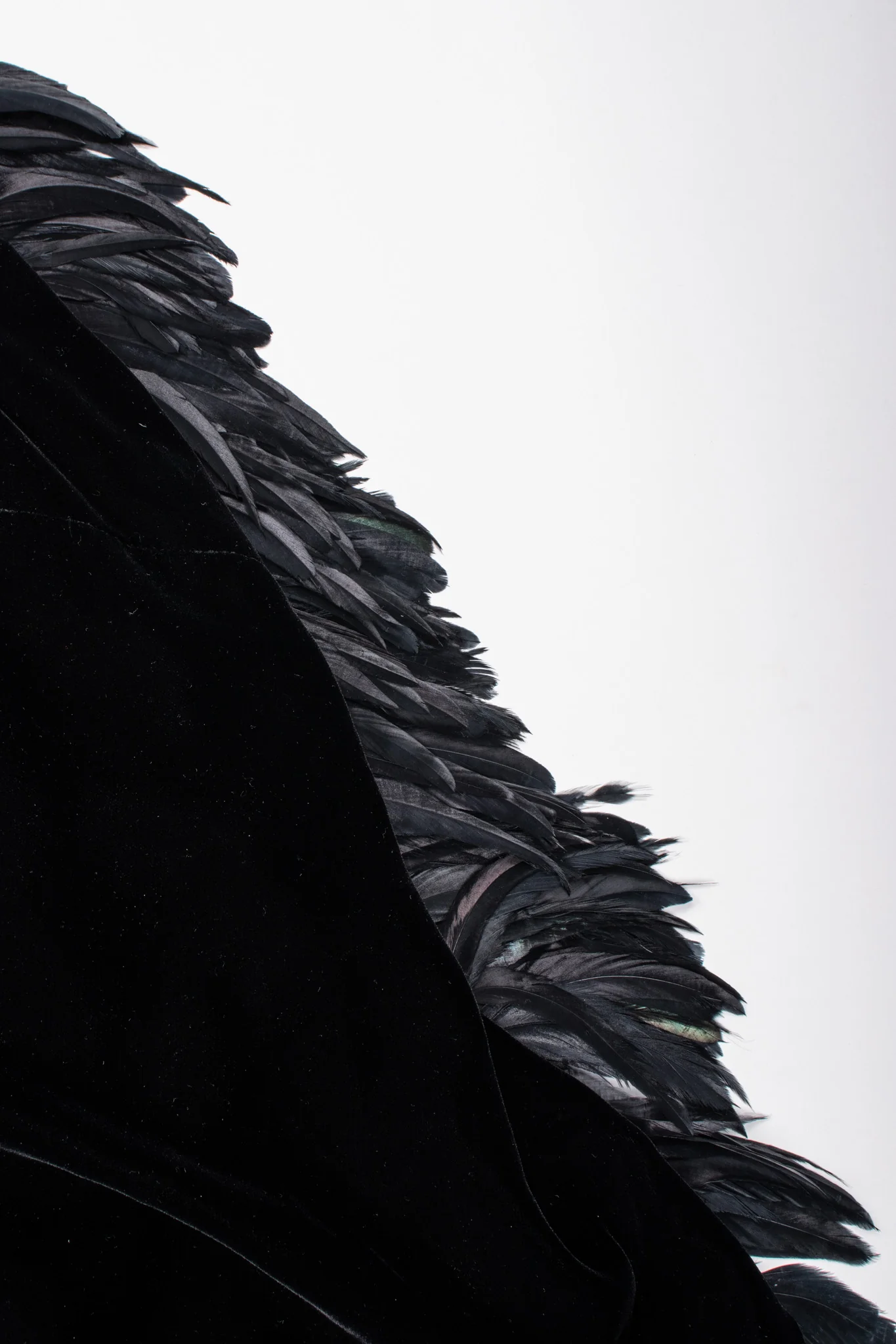 Raven Feather Bustle Dress - Image 13