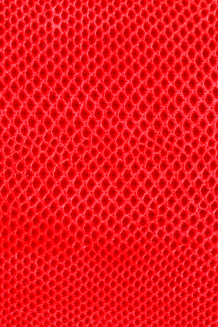 Reptile Mini Case Bag - Image 4
