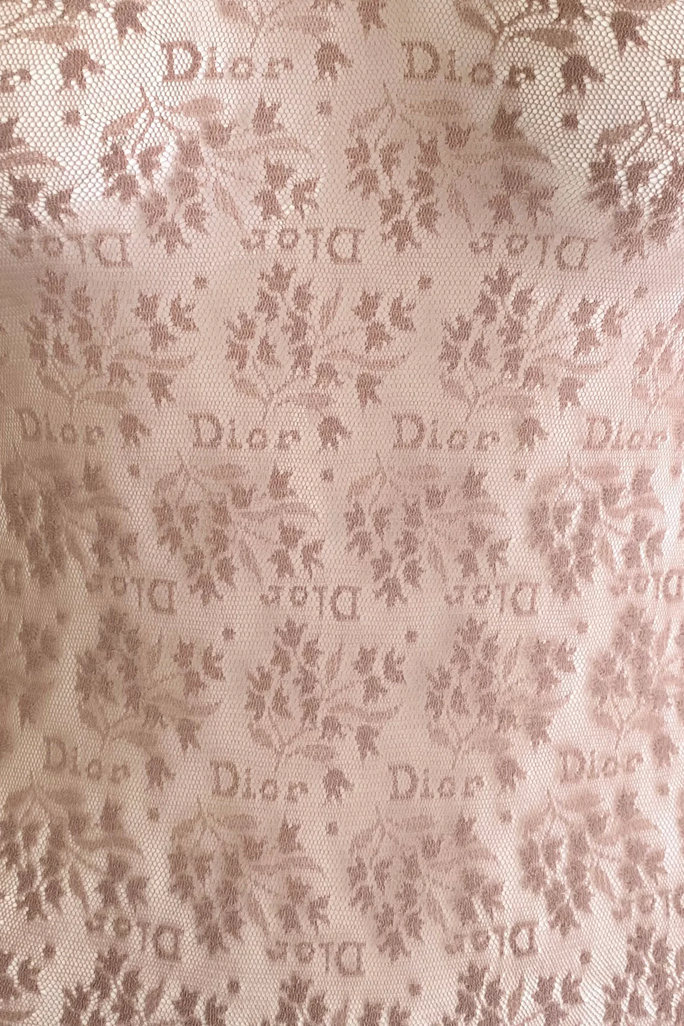 Sheer Lace Logo Bodysuit - Image 2